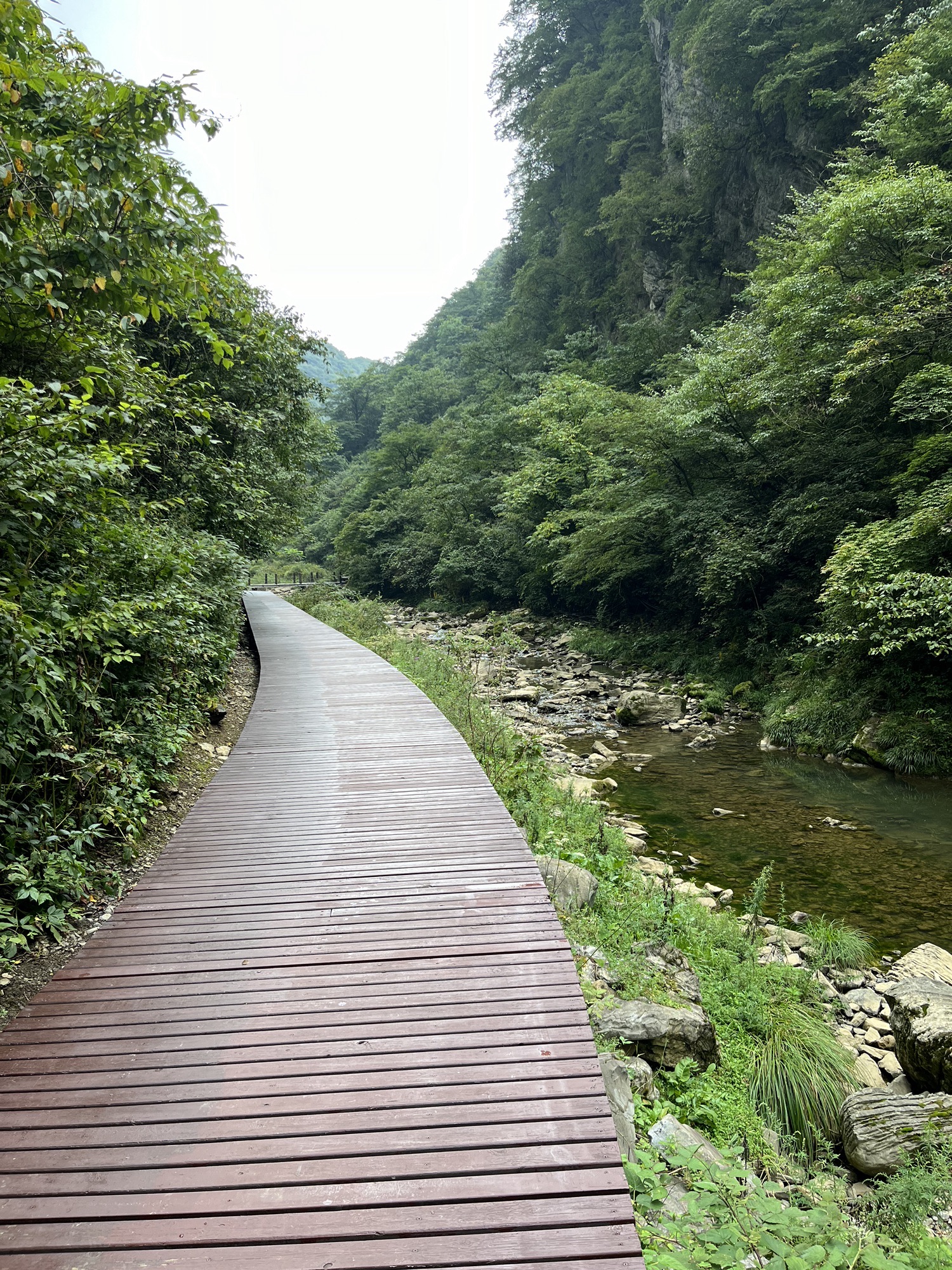 龙桥河景区旅行图片 3