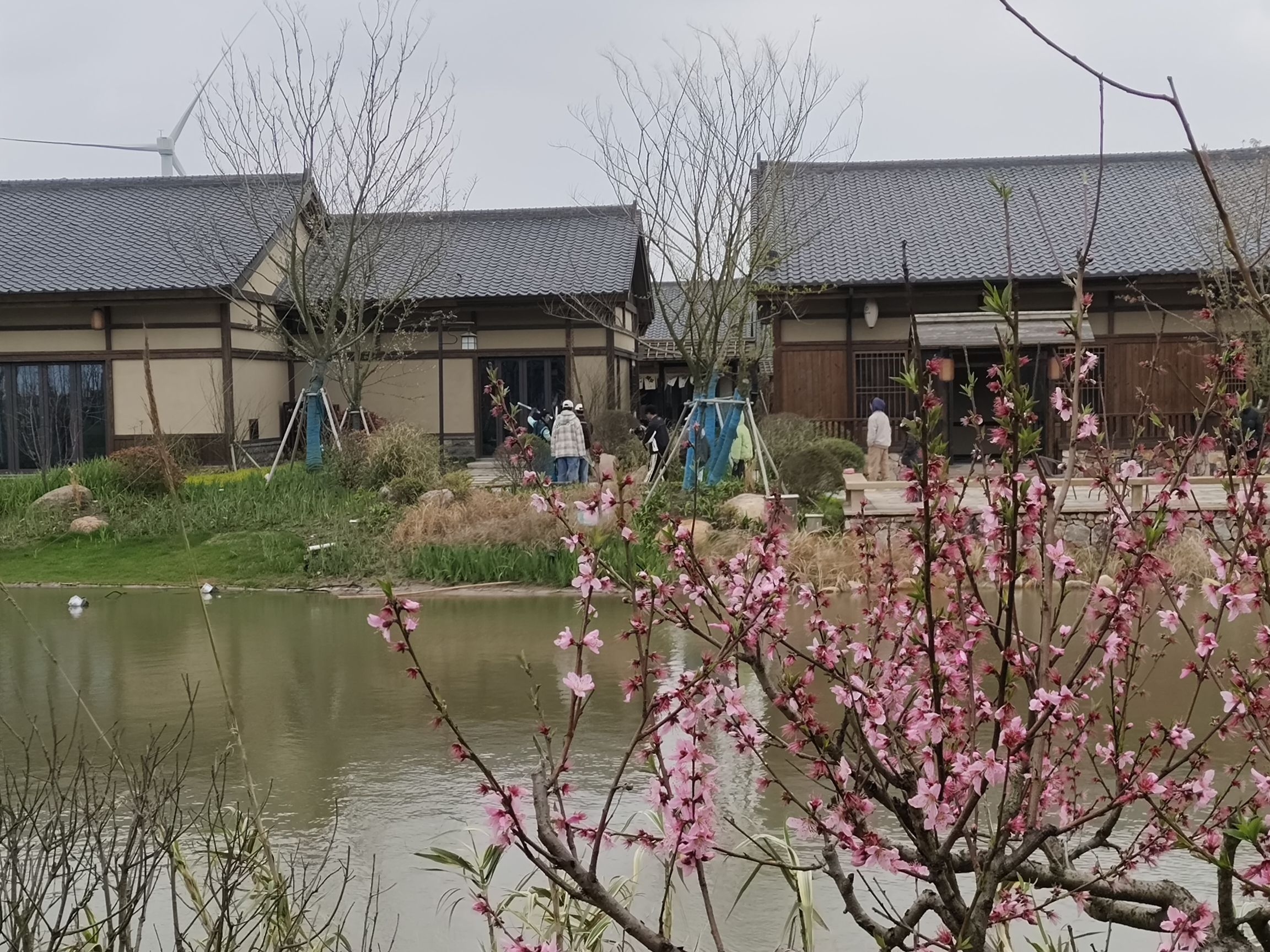 龙湾水镇旅行图片 1
