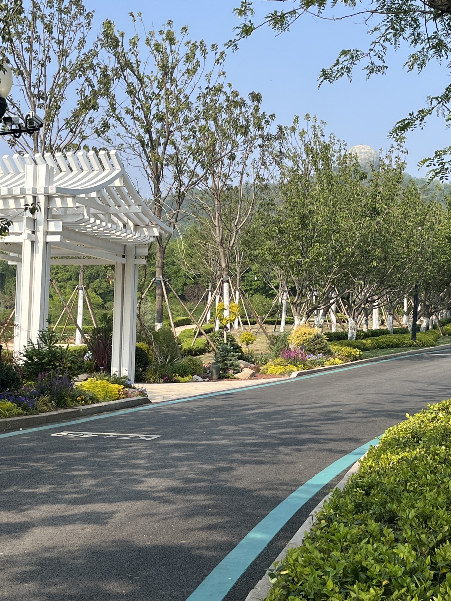 太平山中央公园旅行图片 2