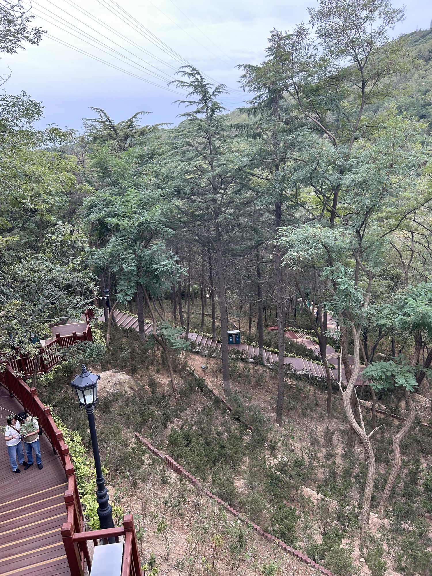 太平山中央公园旅行图片 1