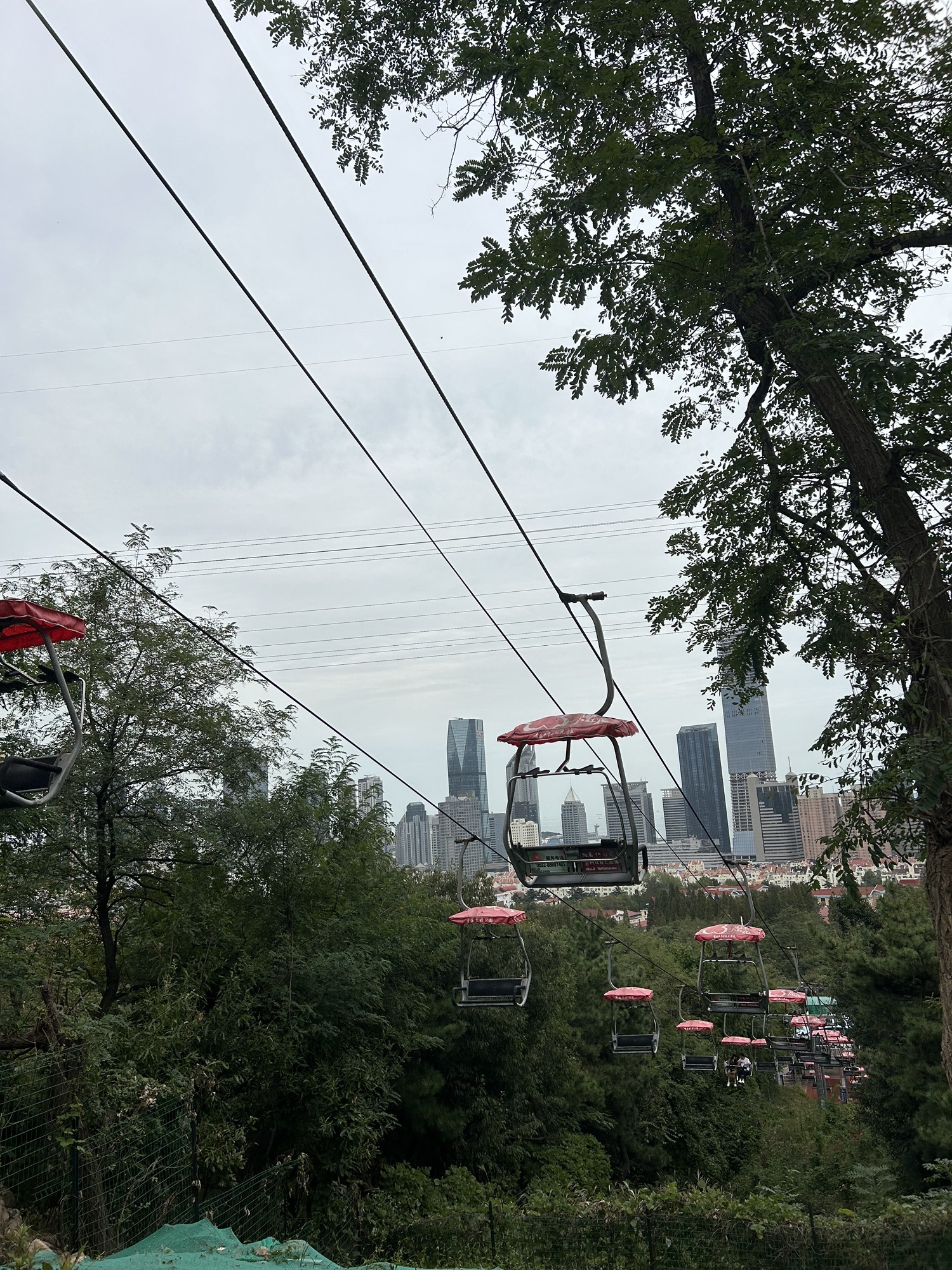 太平山中央公园旅行图片 3