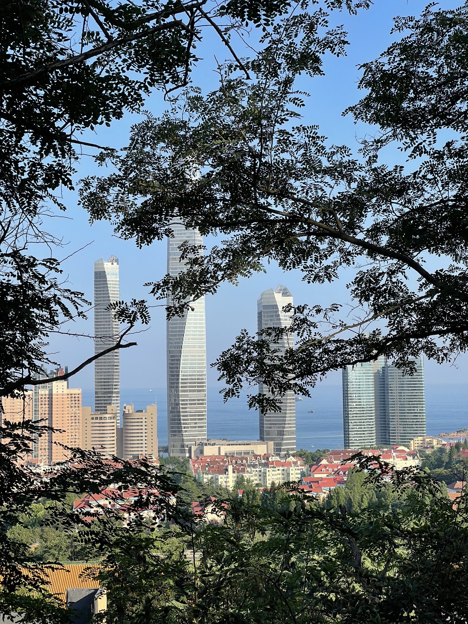 太平山中央公园旅行图片 1
