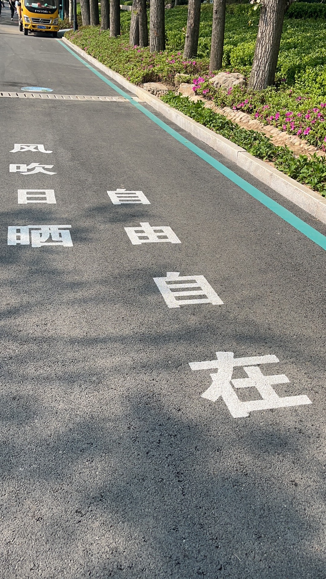 太平山中央公园旅行图片 1
