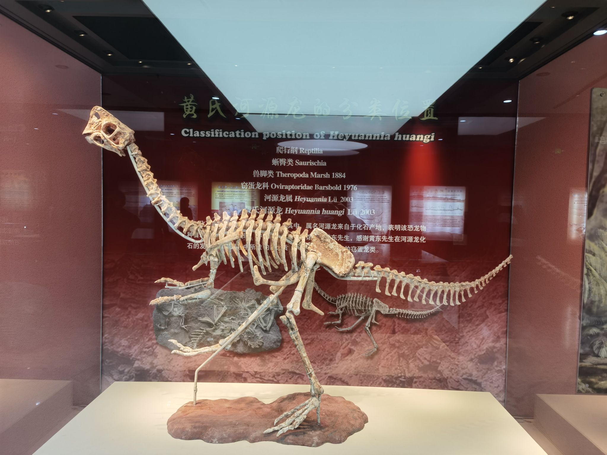 龟峰公园旅行图片 1