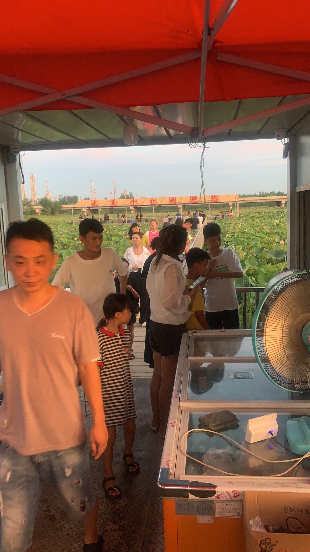 牛村百亩荷塘观景台旅行图片 1