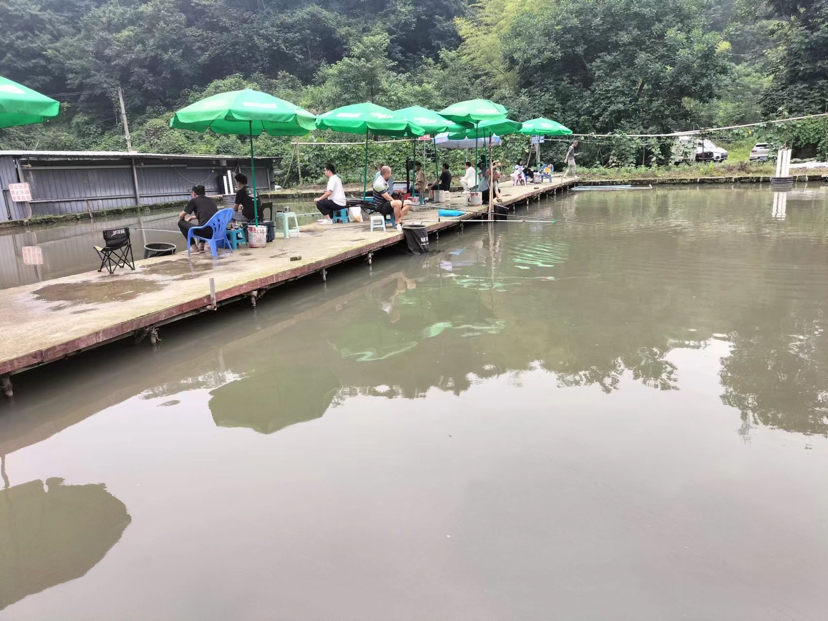 重庆市沙坪坝区梨树湾杨家沟钓场