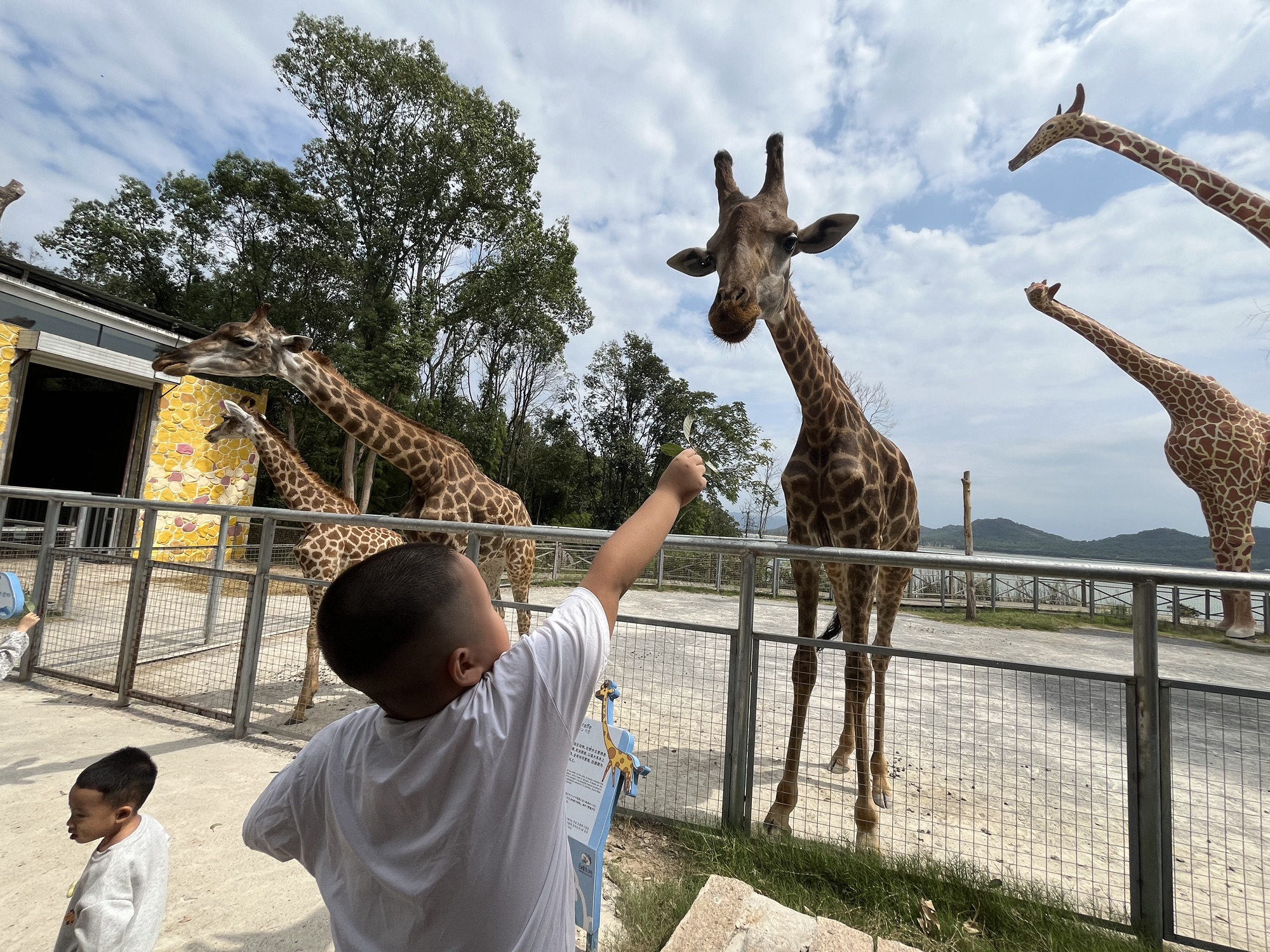 白鹤湖嘻嘻哩生态水世界旅行图片 1