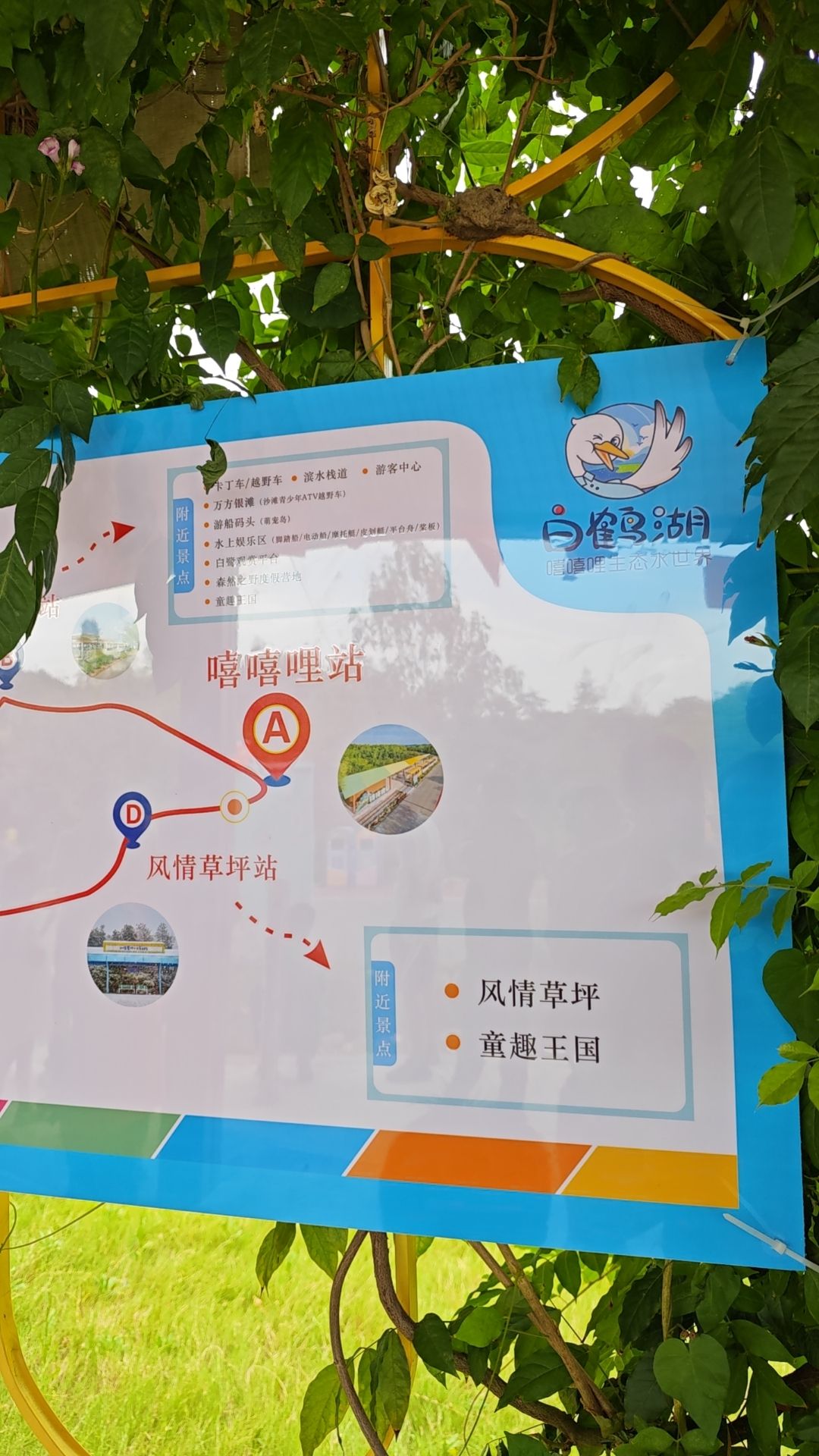 白鹤湖嘻嘻哩生态水世界旅行图片 1