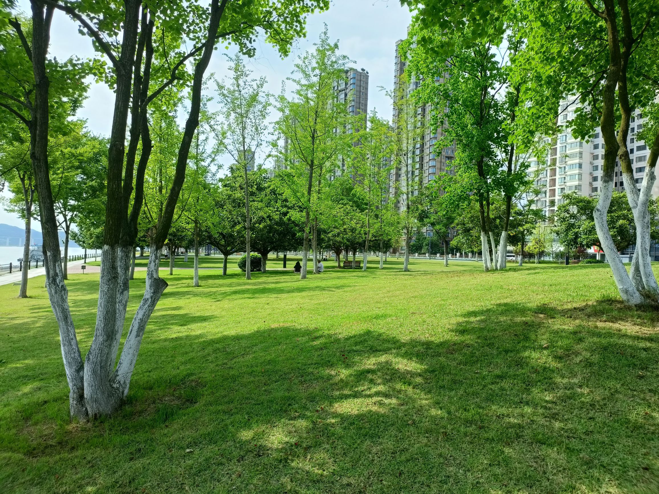 昭君文化广场旅行图片 1