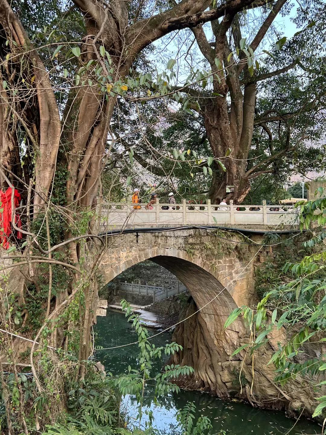 玫瑰镇度假区旅行图片 2