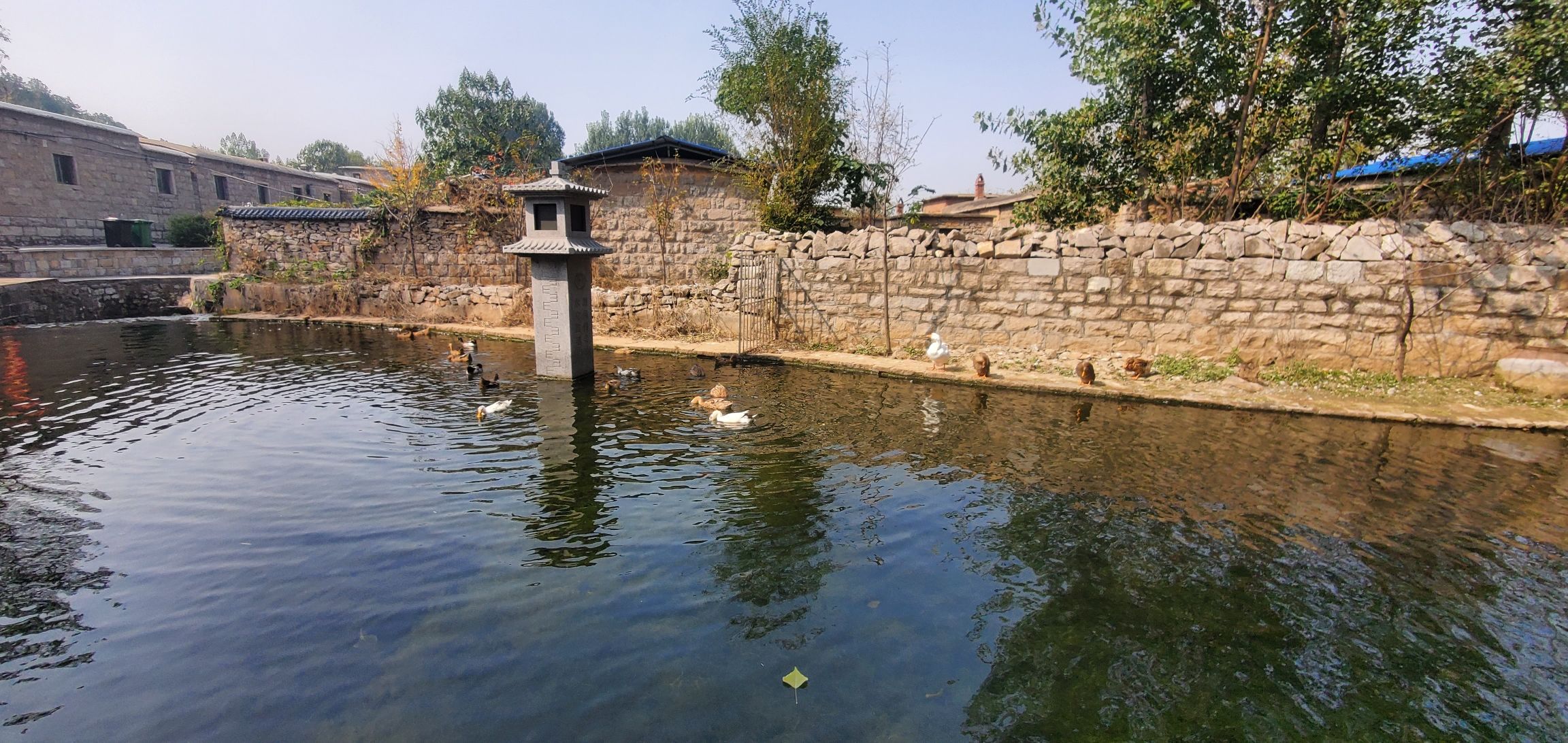 洪范池镇度假区旅行图片 1