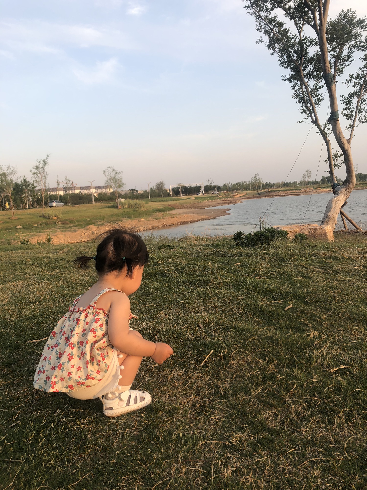 洪范池镇度假区旅行图片 2