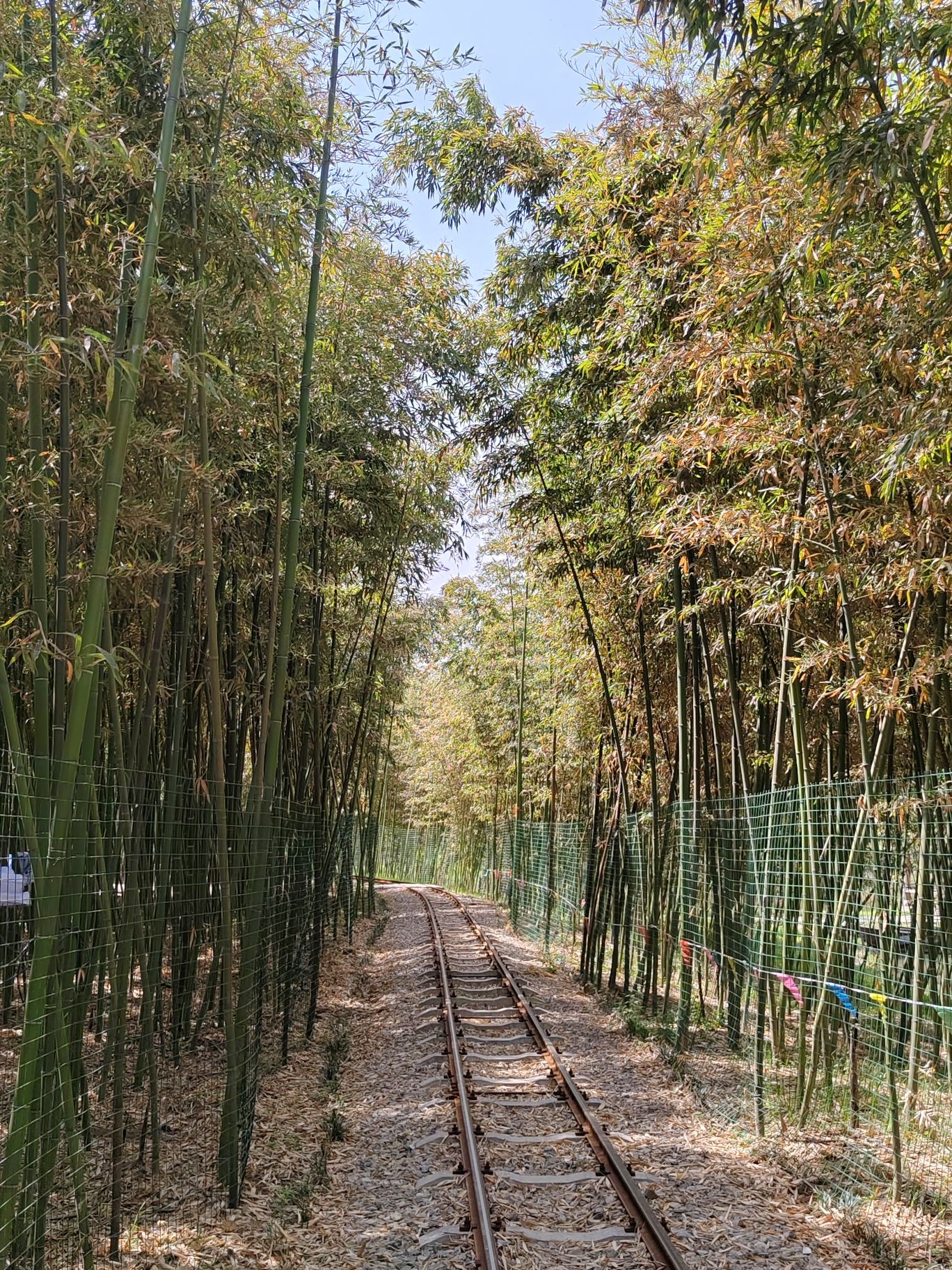 泉福小江南旅行图片 2