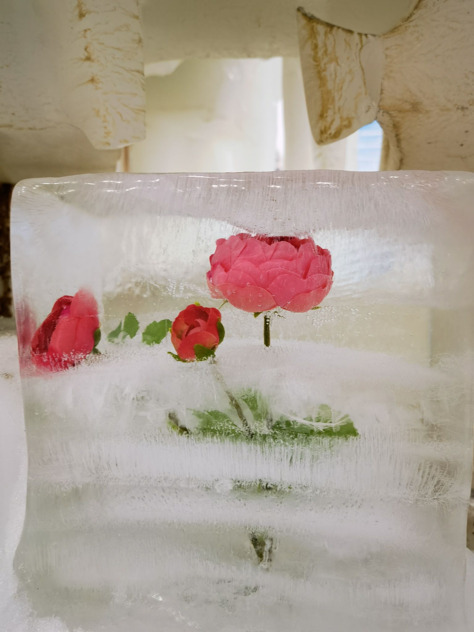 森迪冰雪海洋乐园旅行图片 1