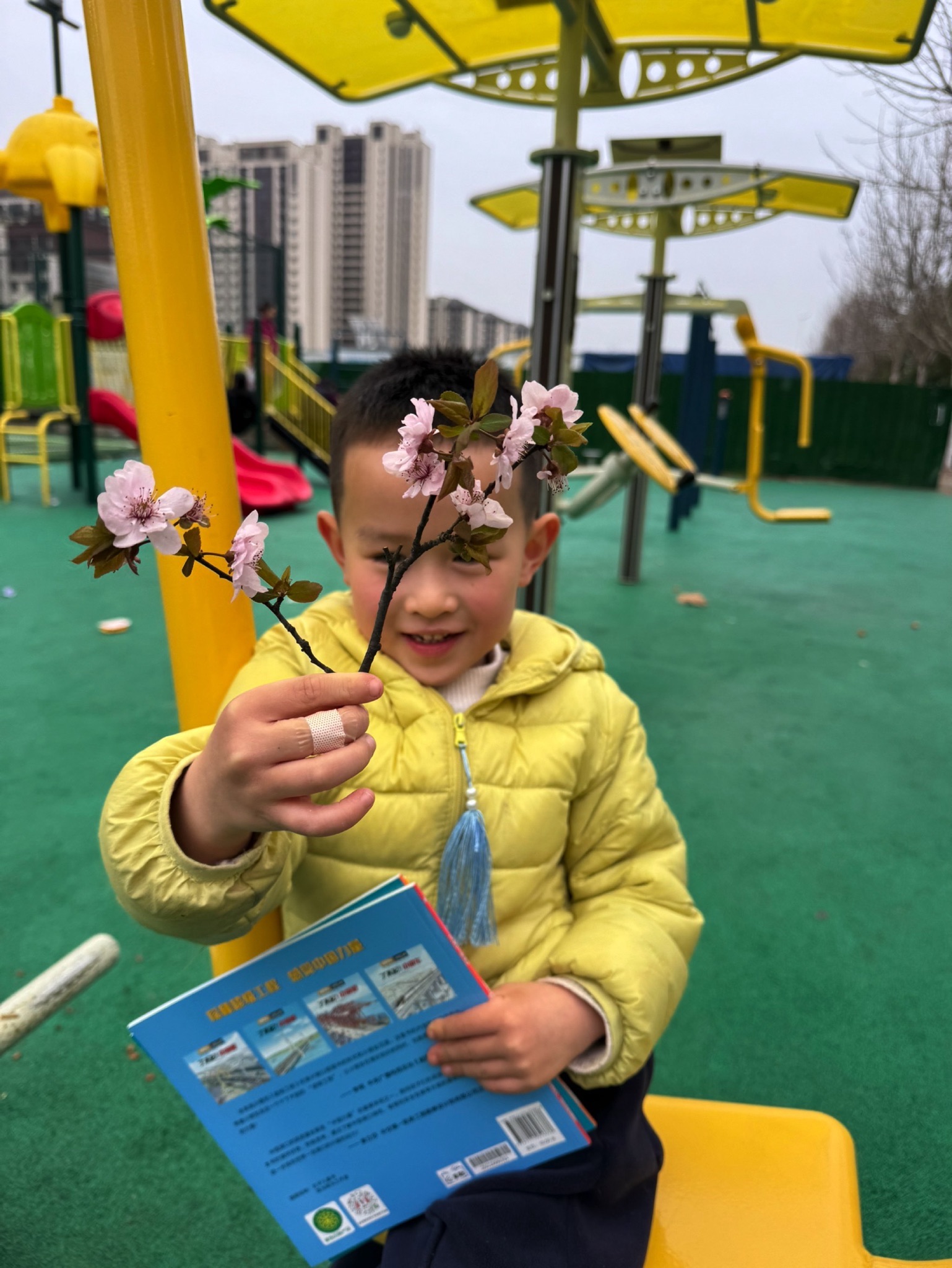 云谷体育公园旅行图片 3