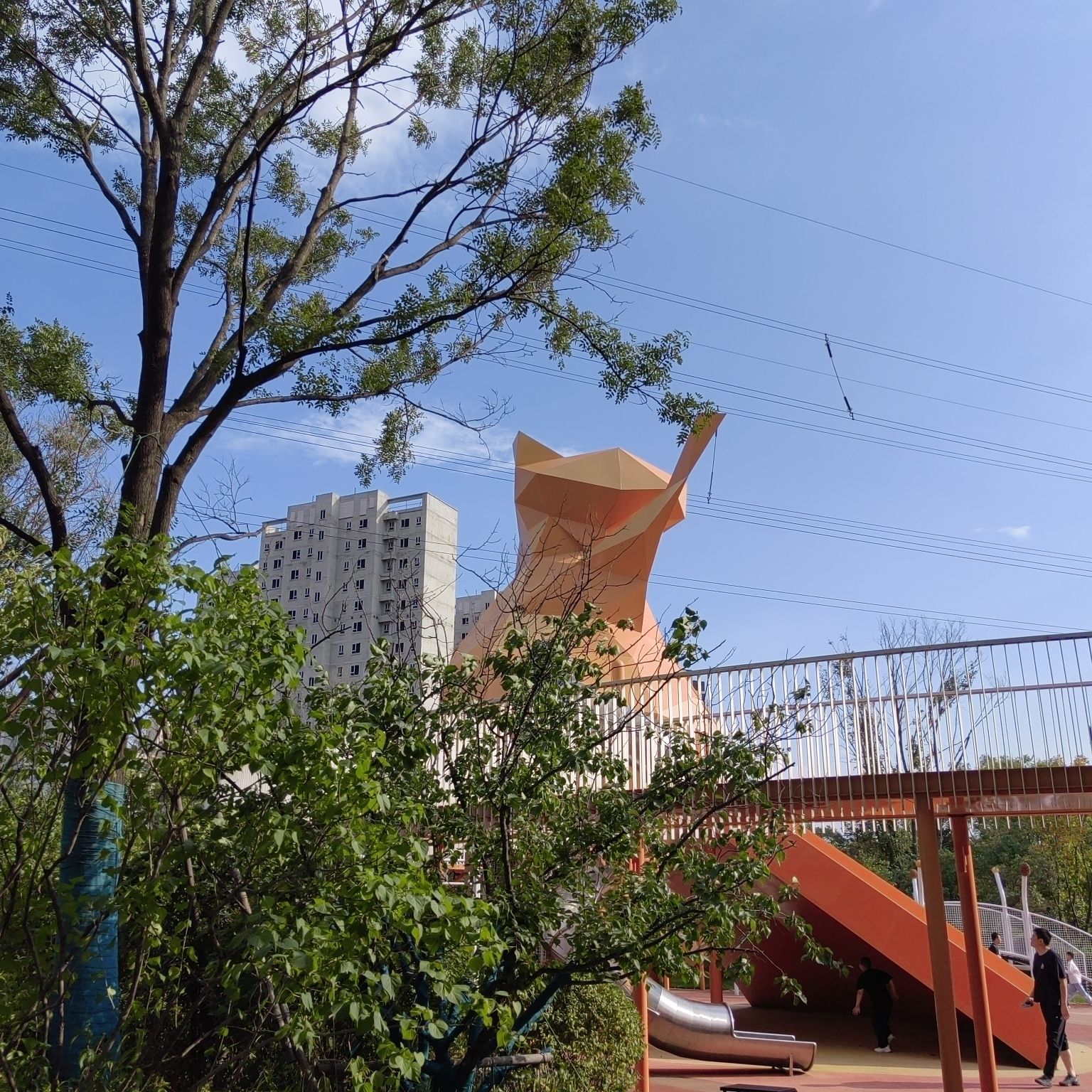 碧岚公园旅行图片 1