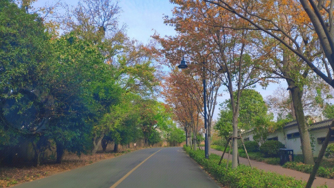 马鞍山森林公园旅行图片 1