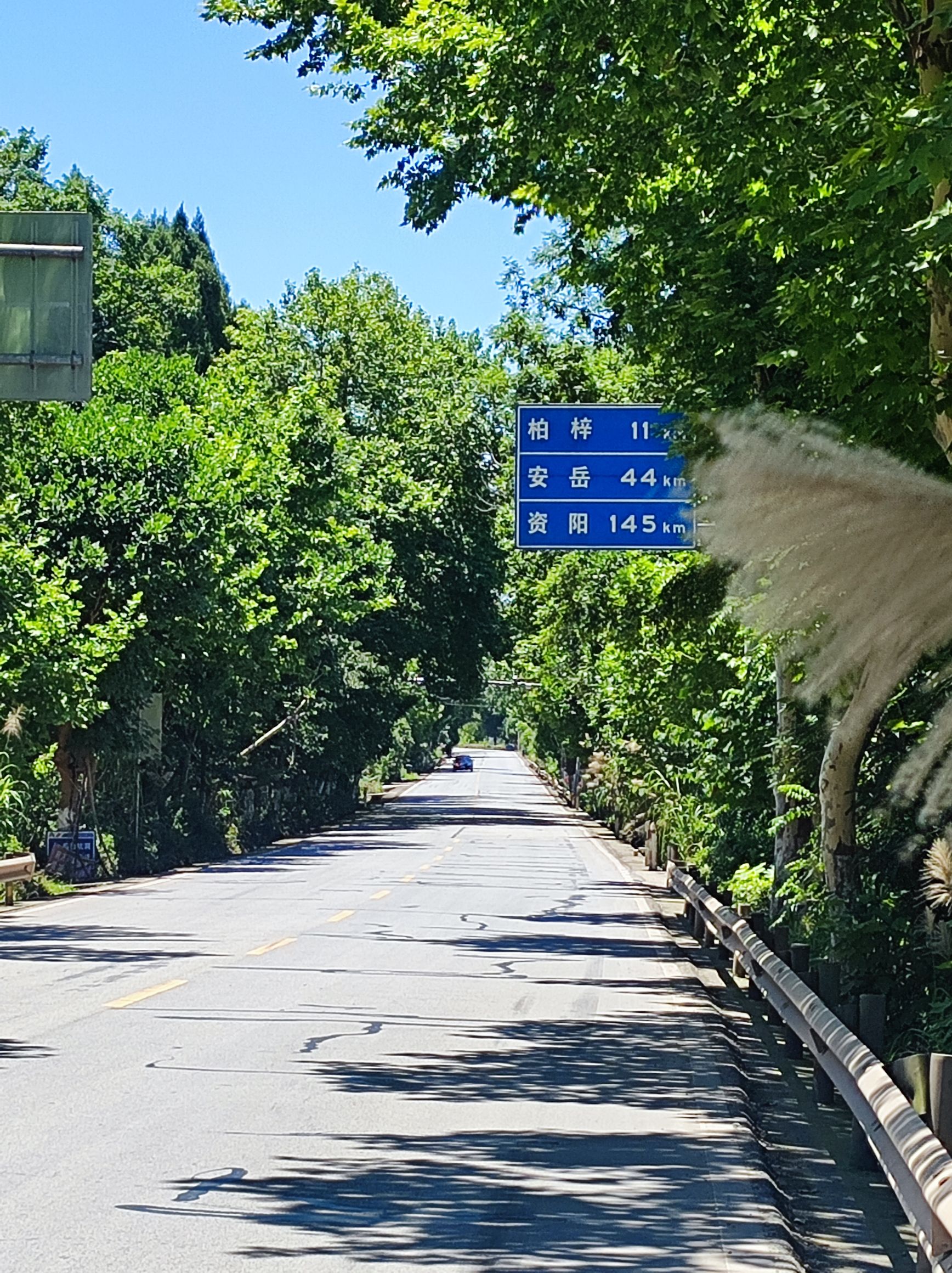 马鞍山森林公园旅行图片 2