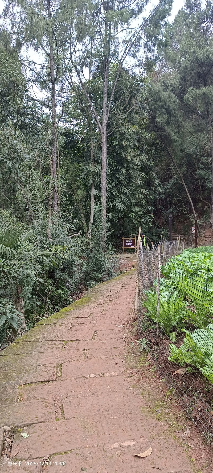 马鞍山森林公园旅行图片 1