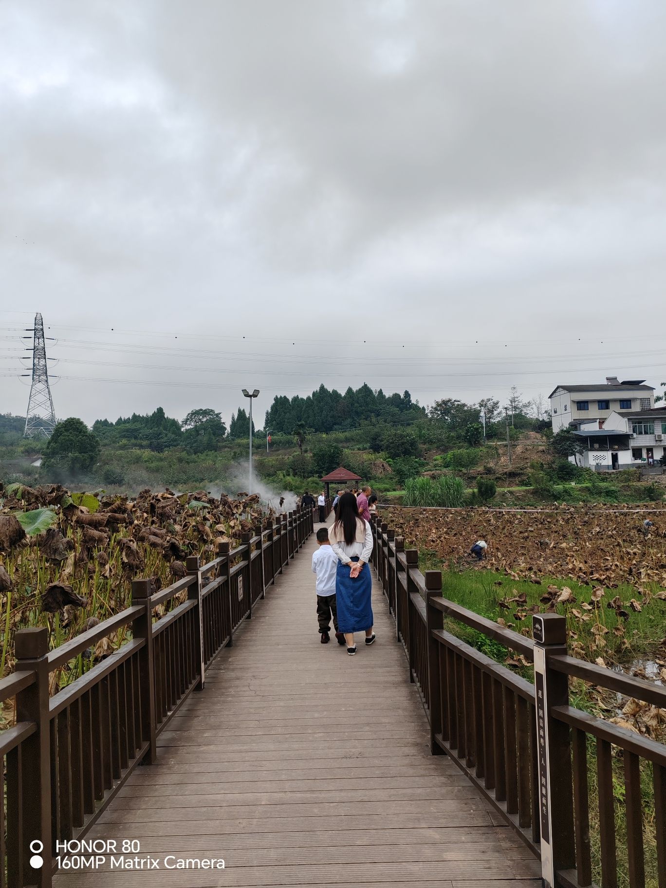 湖光山色稻渔亲水湿地农业主题公园旅行图片 3