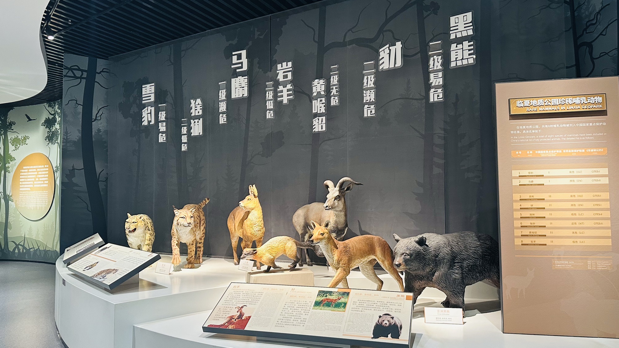 临夏世界地质公园博物馆