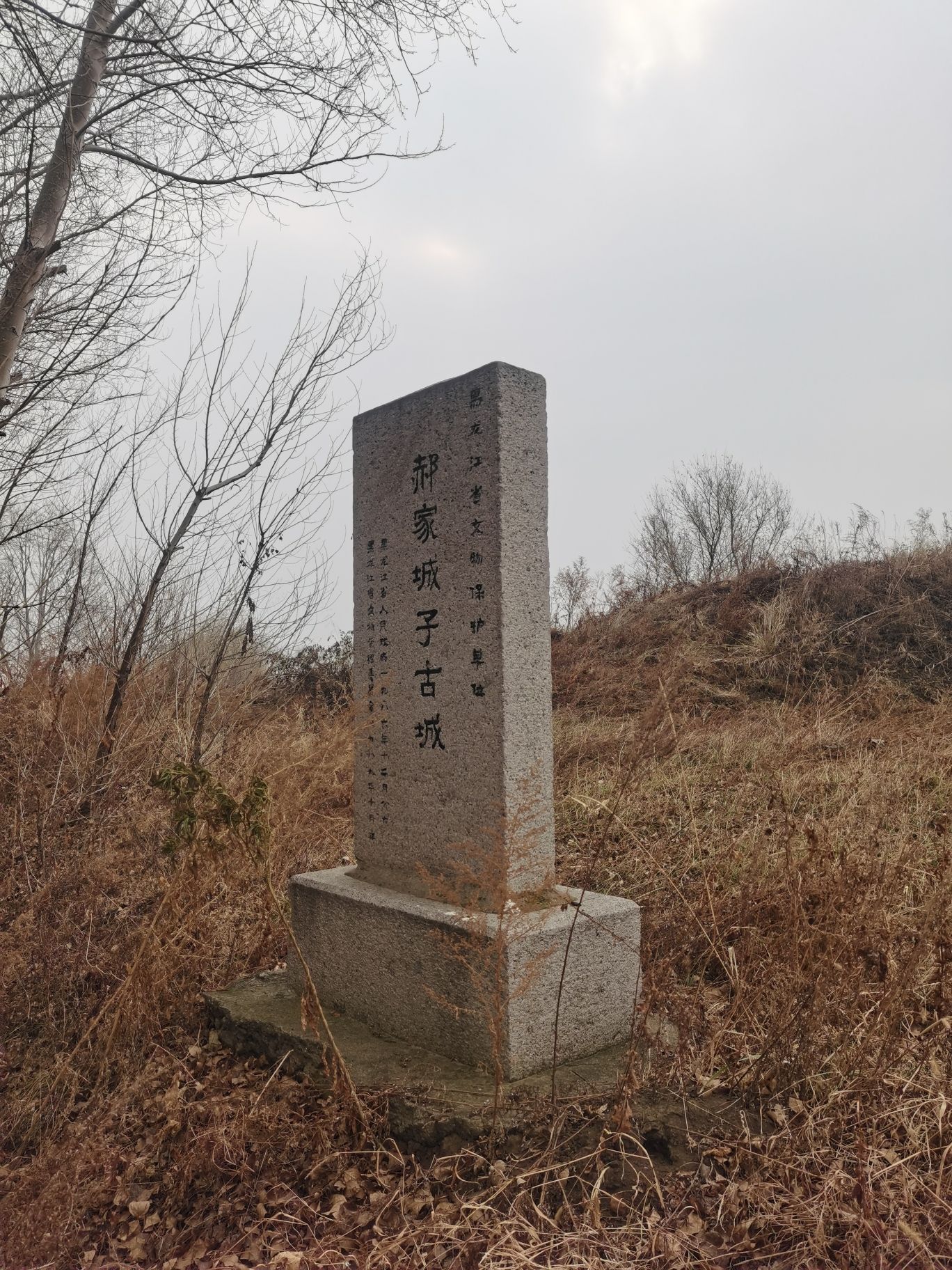 郝家城子古城遗址旅行图片 1