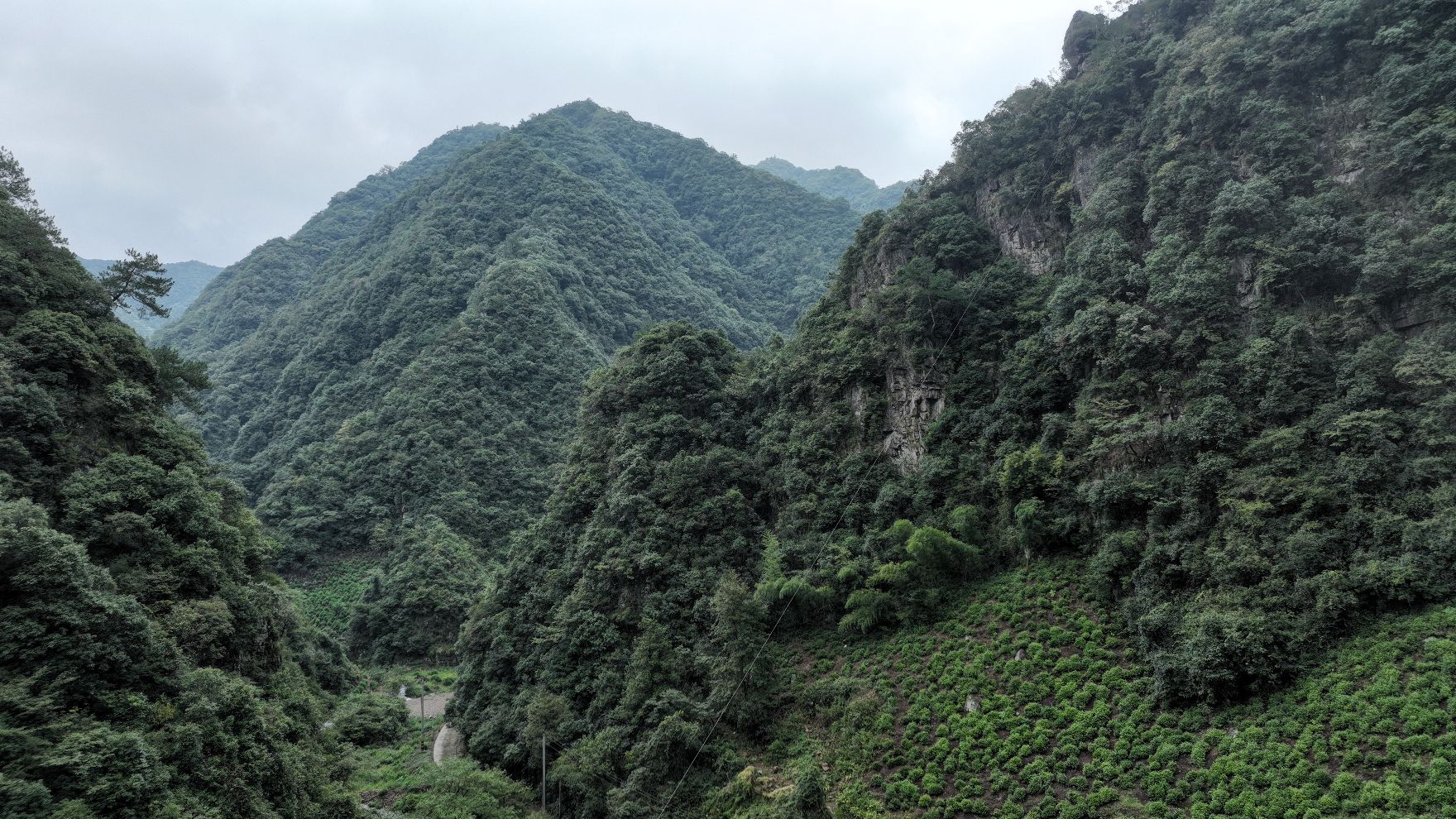黄子山大峡谷景区旅行图片 1