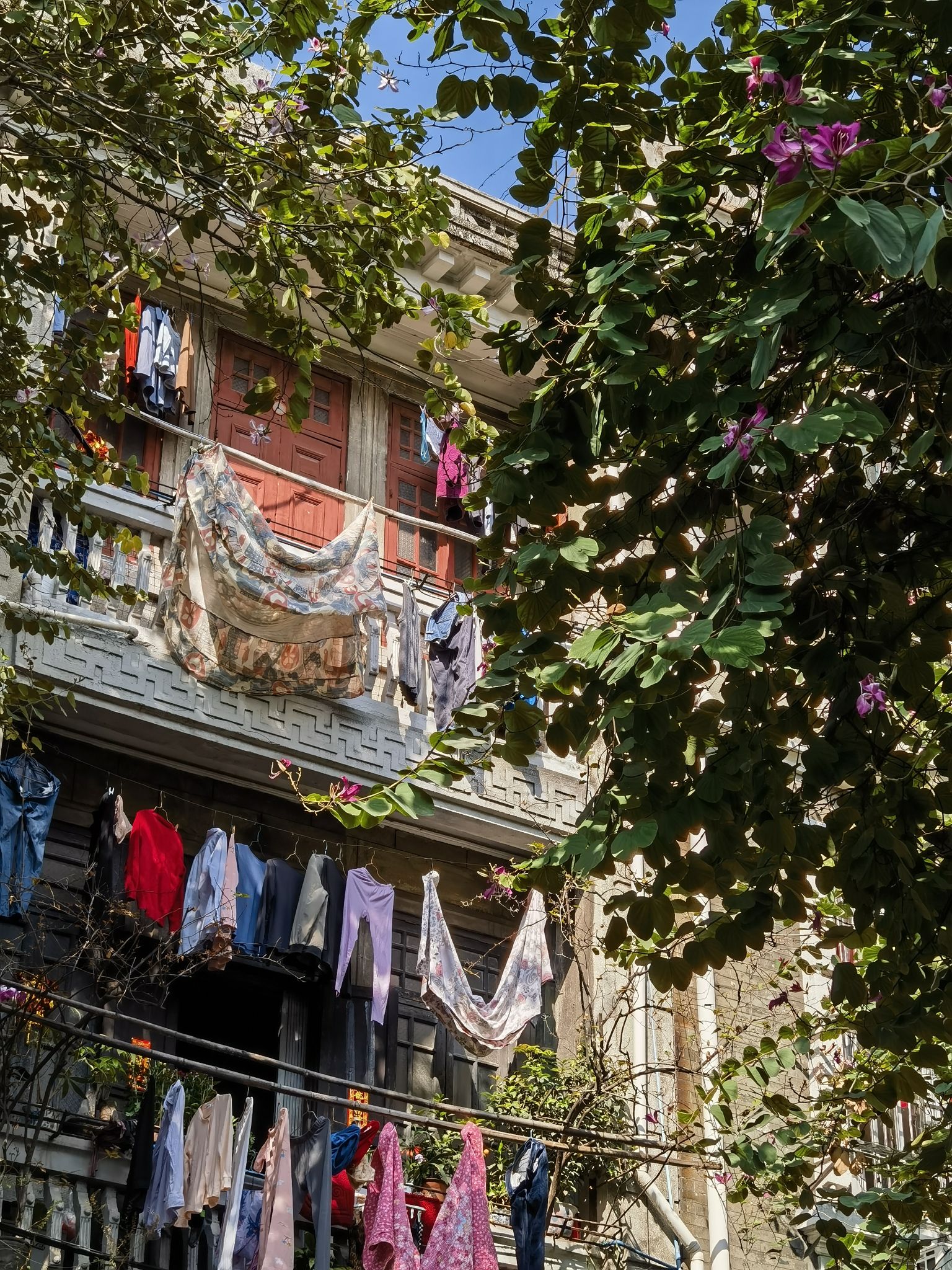多宝路历史文化街区旅行图片 1