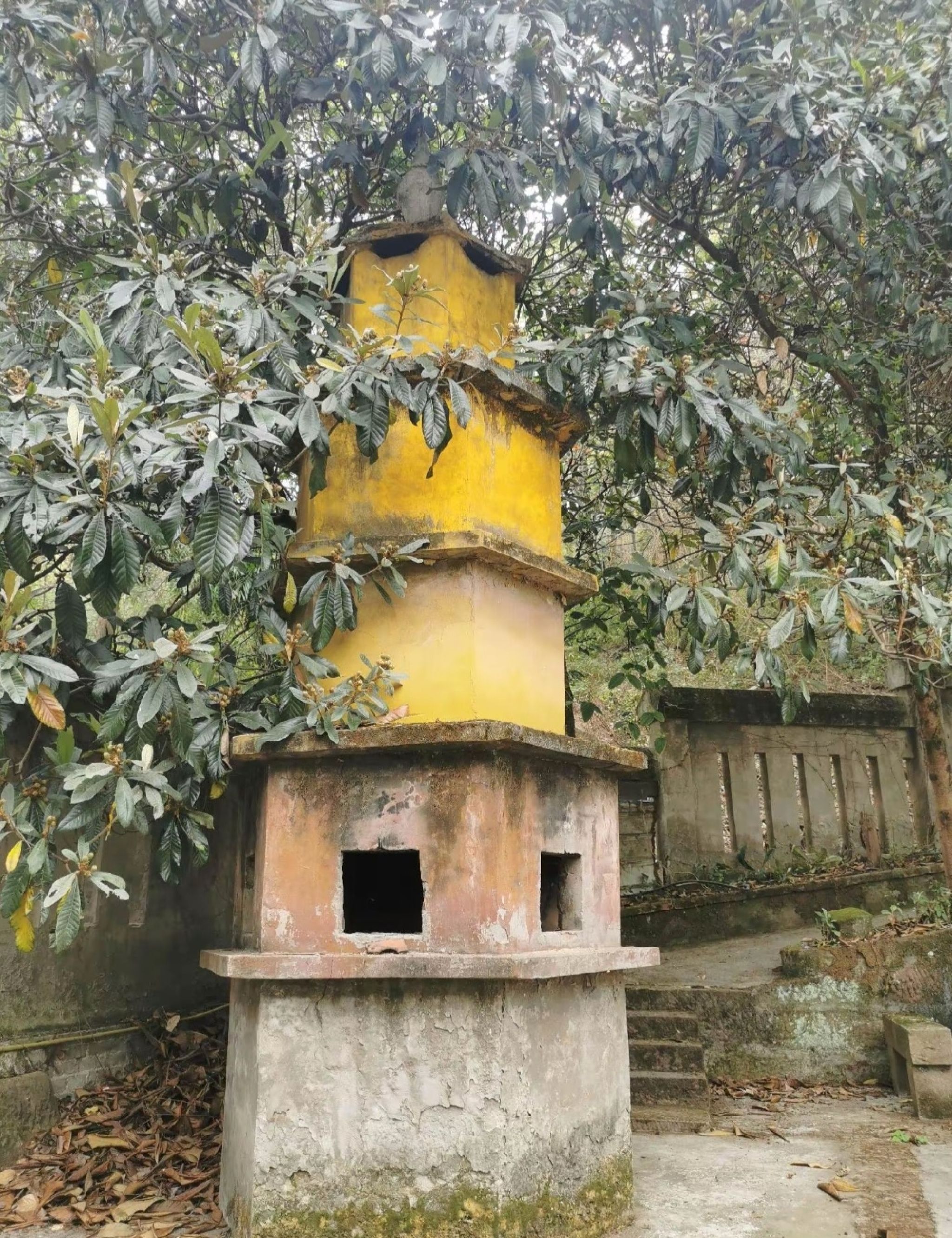 圣泉寺旅行图片 1