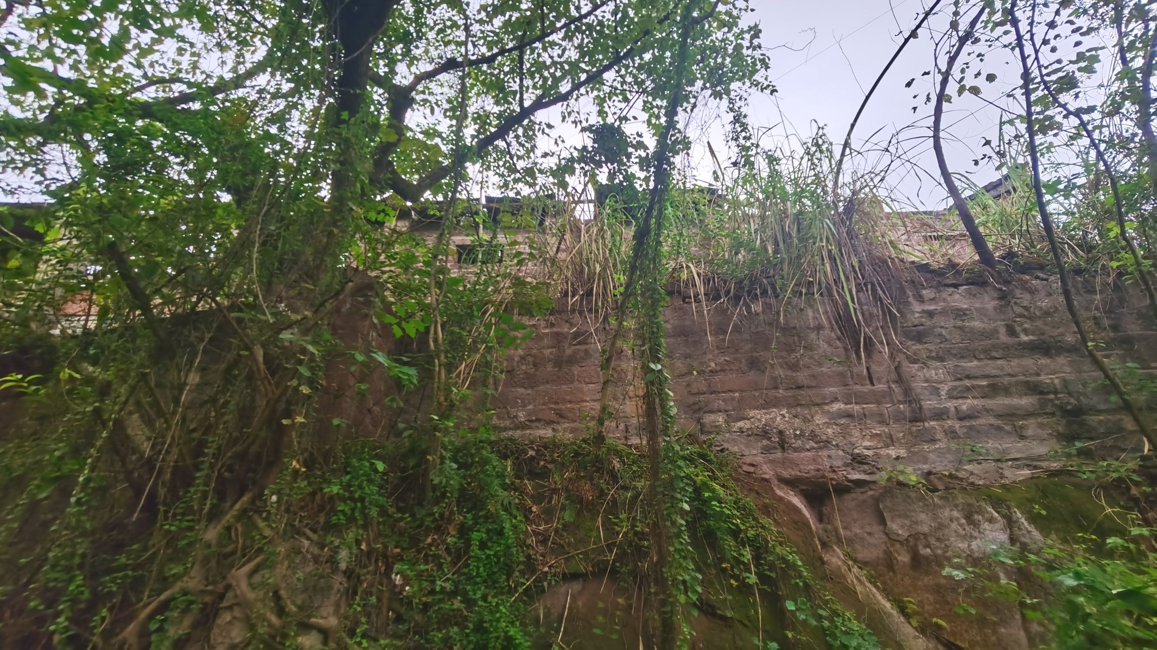 圣泉寺旅行图片 2