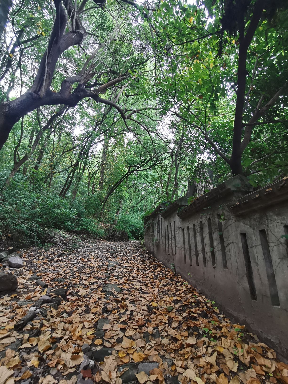 圣泉寺旅行图片 2