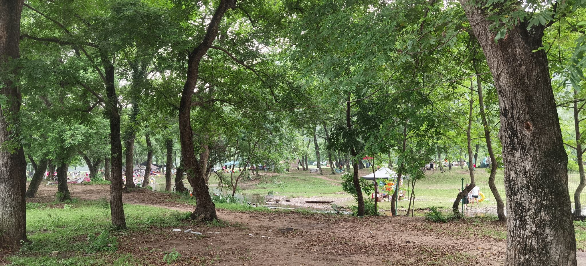 新县郭家河省级湿地公园旅行图片 2