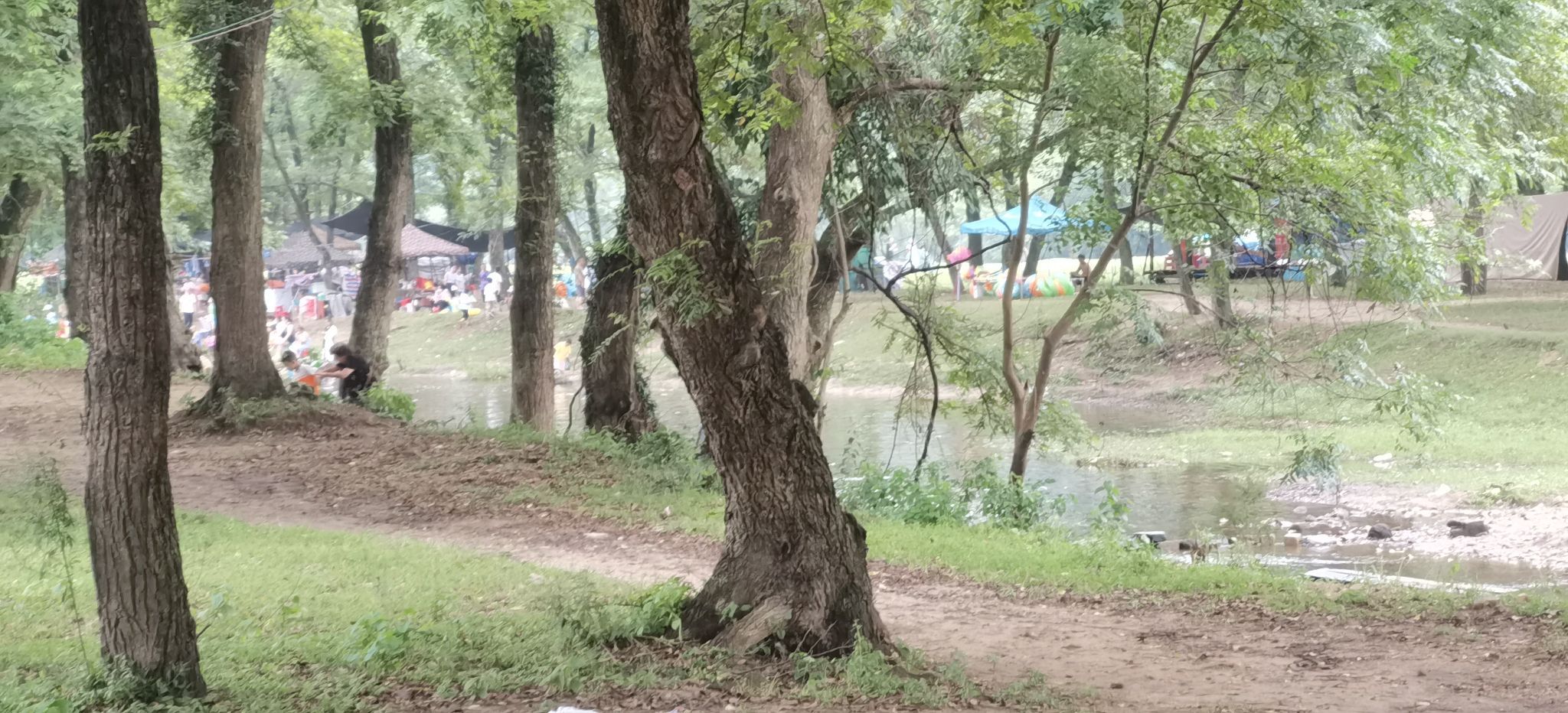 新县郭家河省级湿地公园旅行图片 1