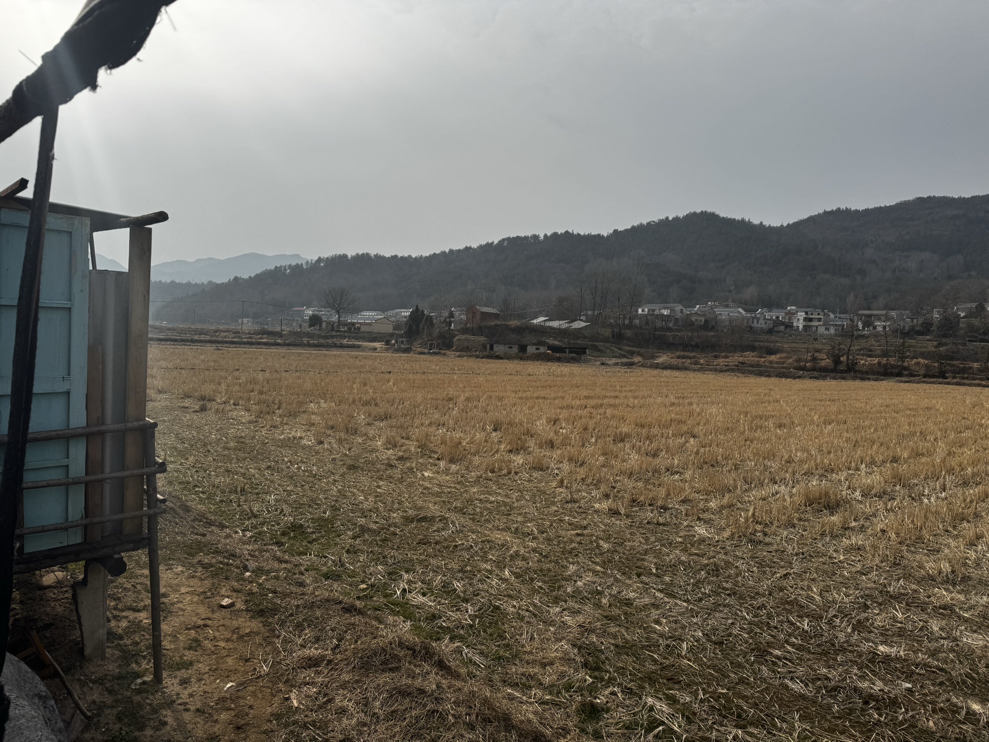 新县郭家河省级湿地公园旅行图片 3
