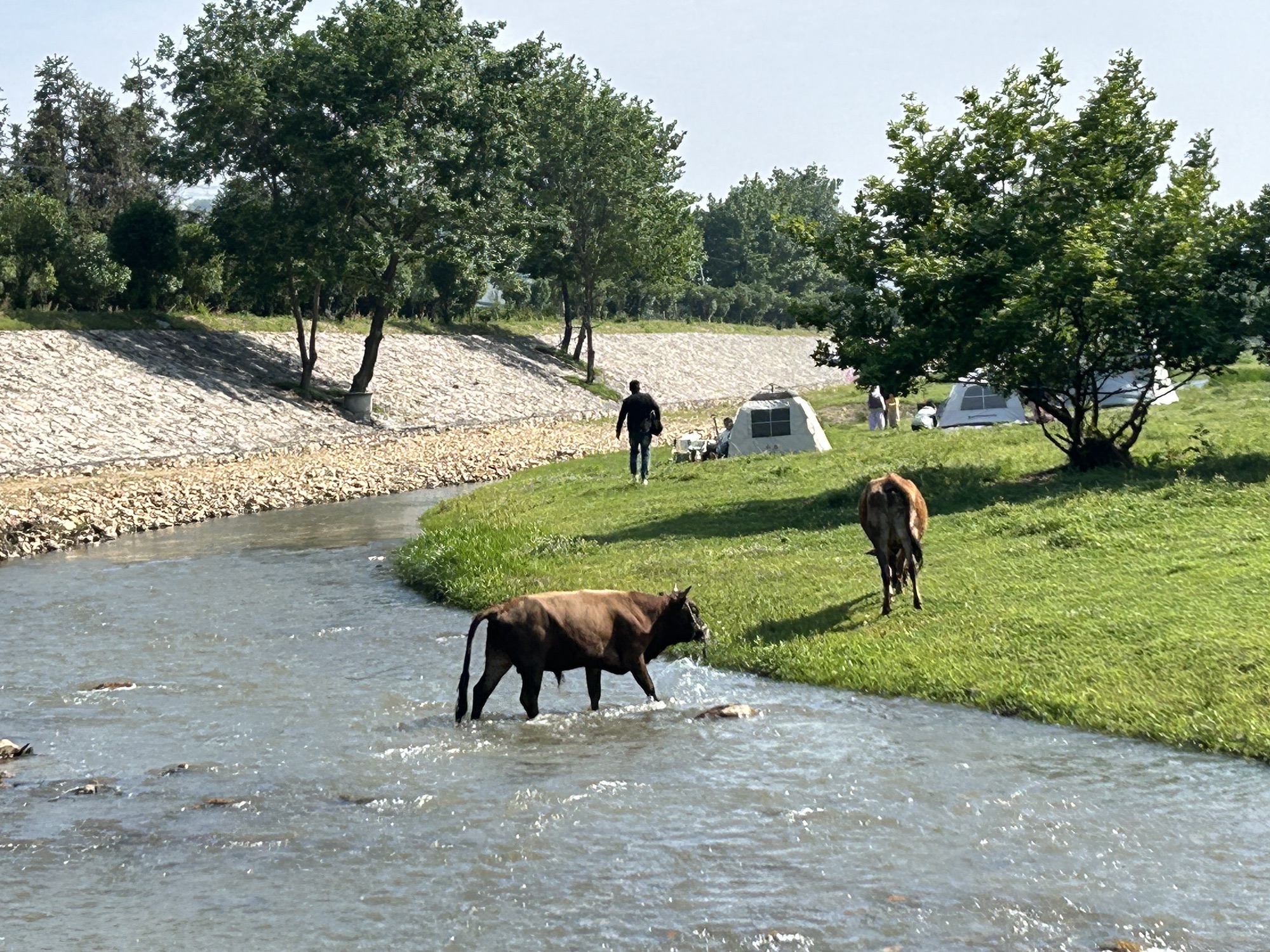 新县郭家河省级湿地公园旅行图片 2