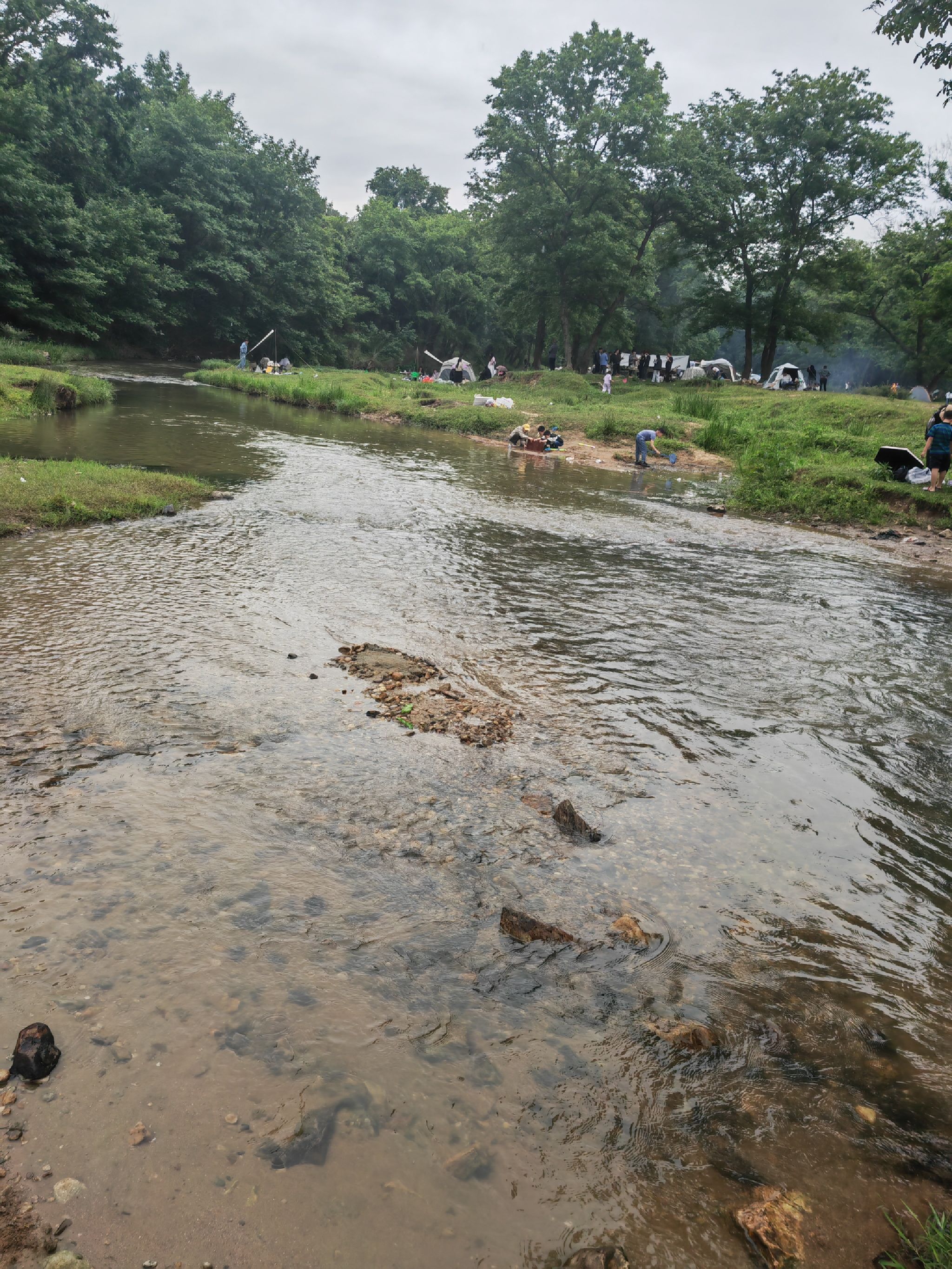 新县郭家河省级湿地公园旅行图片 1