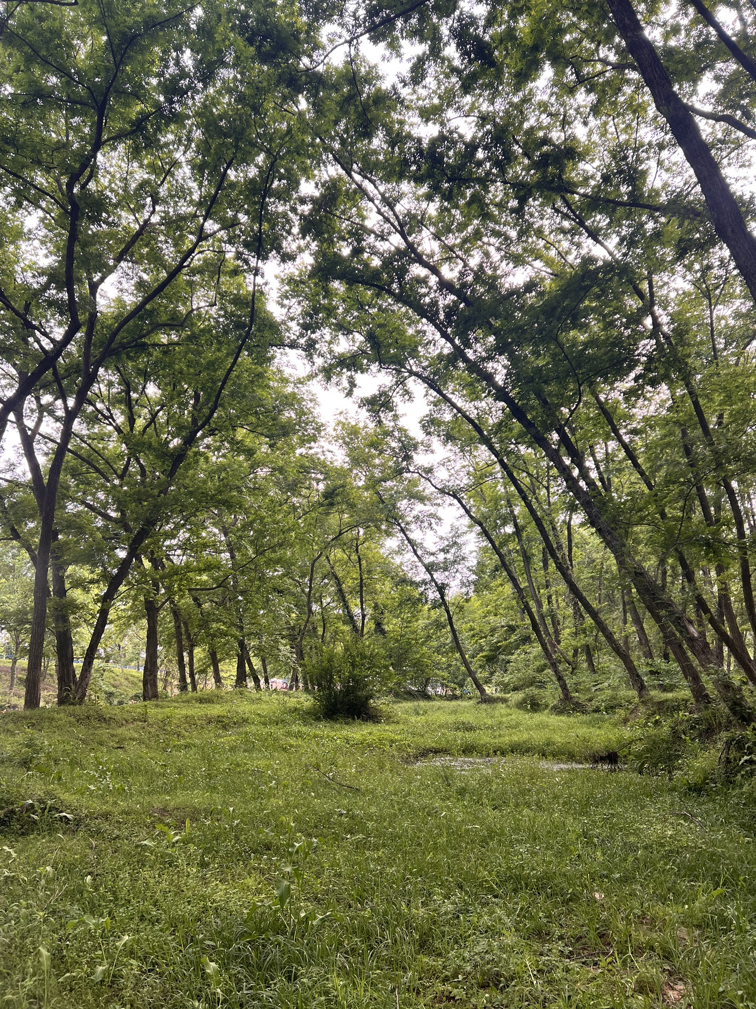 新县郭家河省级湿地公园旅行图片 3