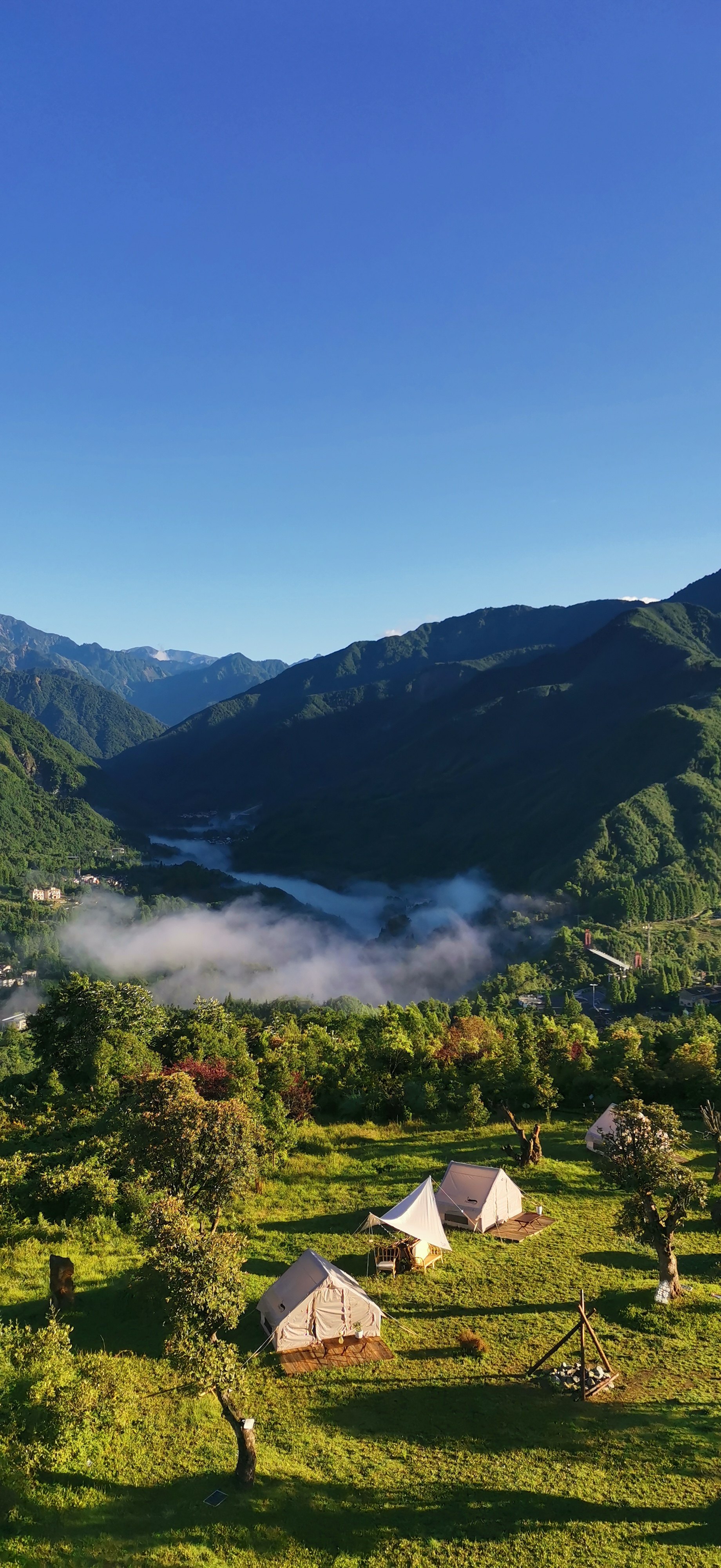场地封面-虹口花谷高山露营基地
