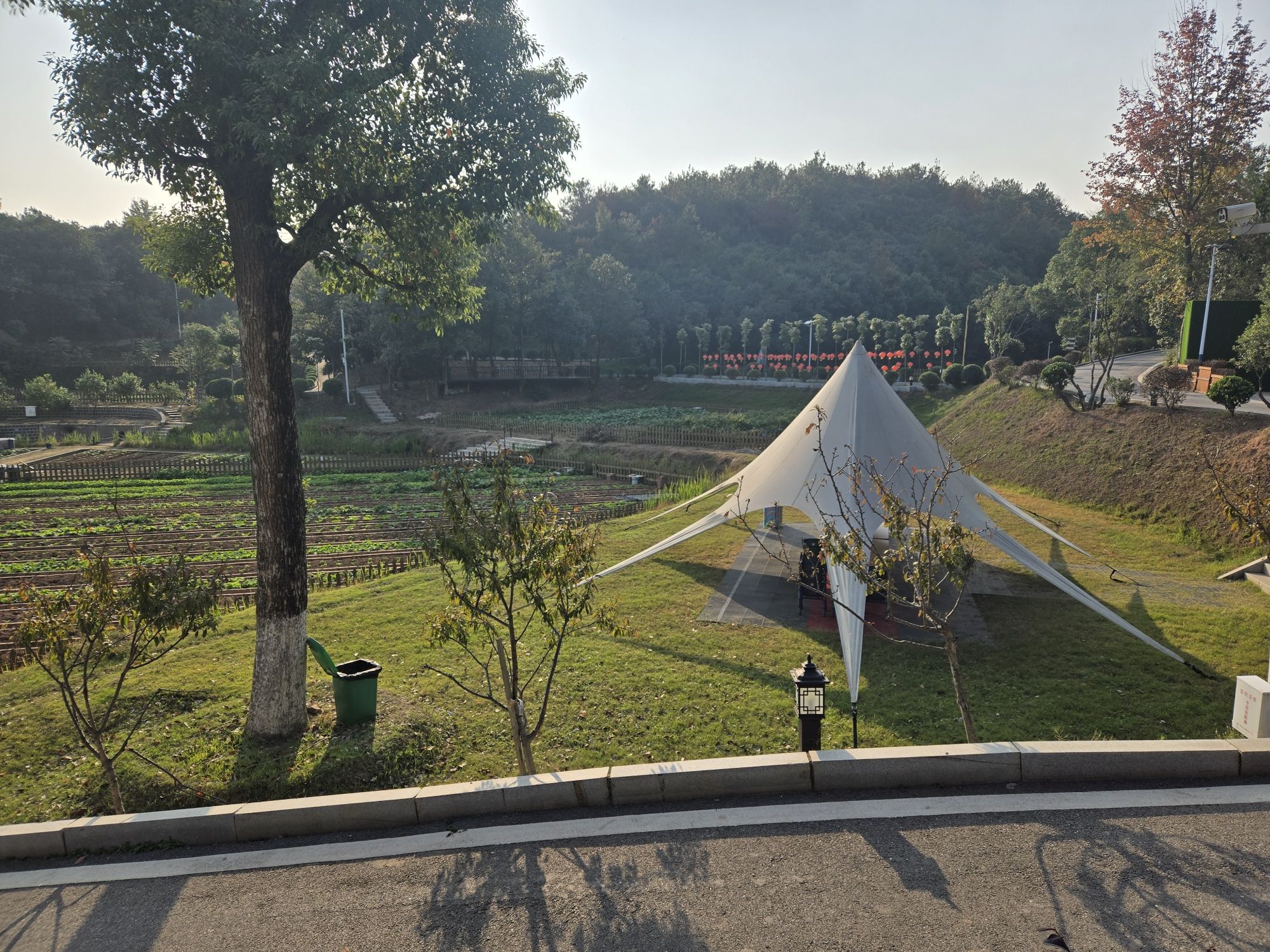 鹭栖谷旅行图片 1