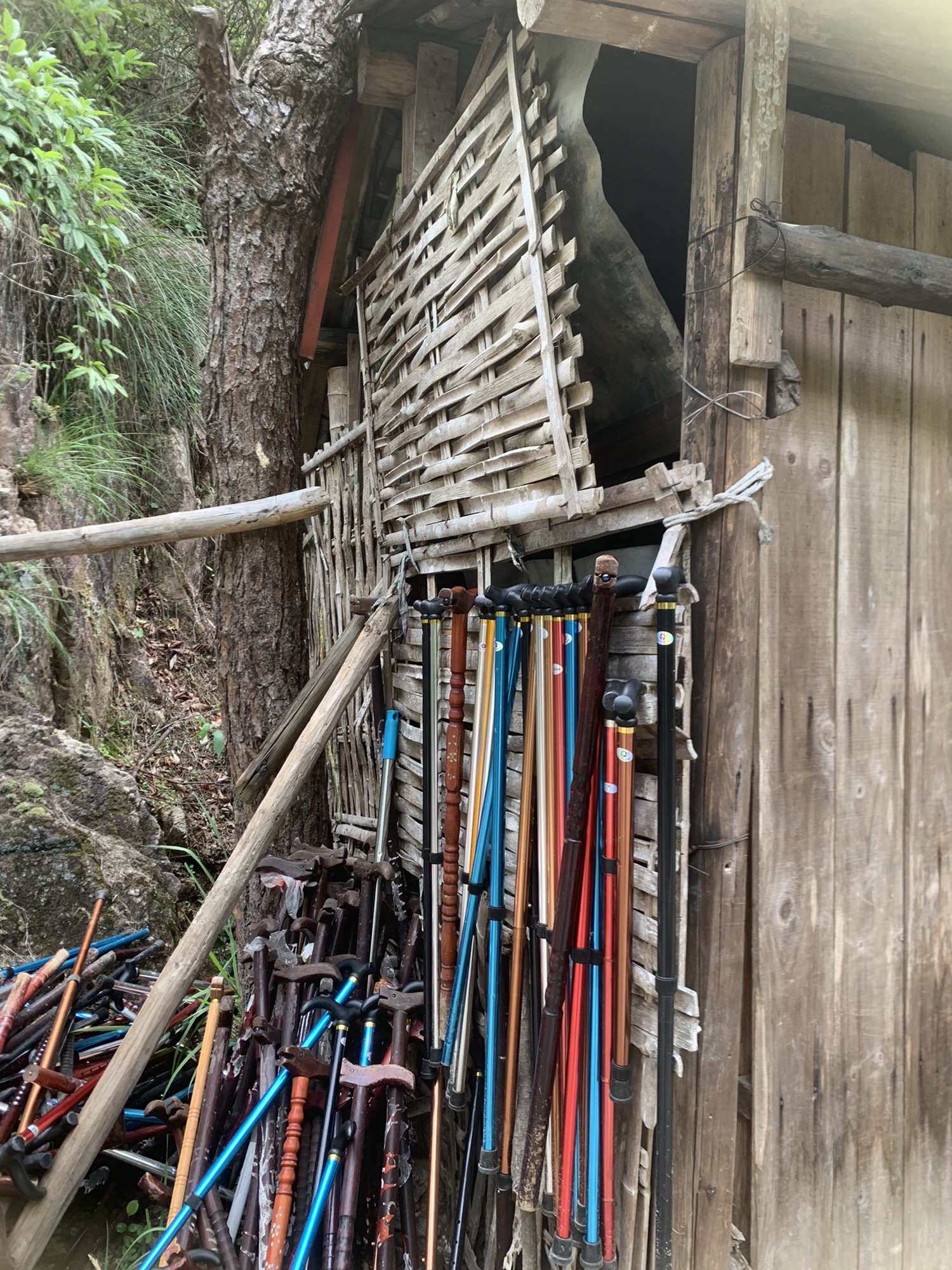 三台山·第三台·最高峰旅行图片 2