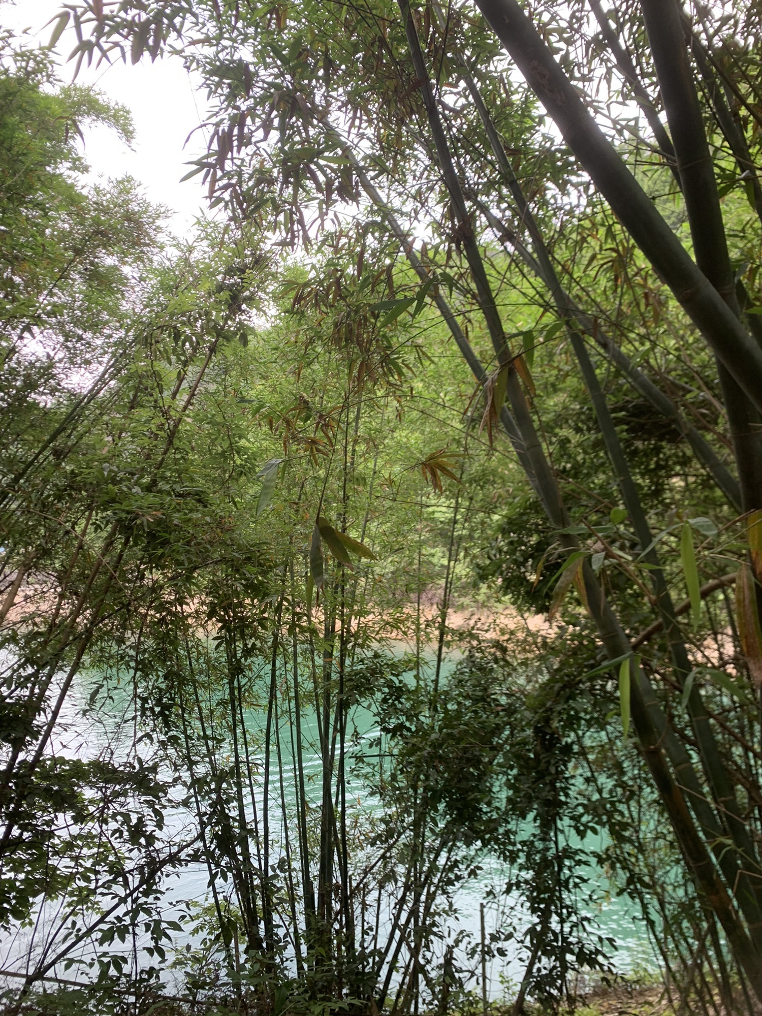 三台山·第三台·最高峰旅行图片 3
