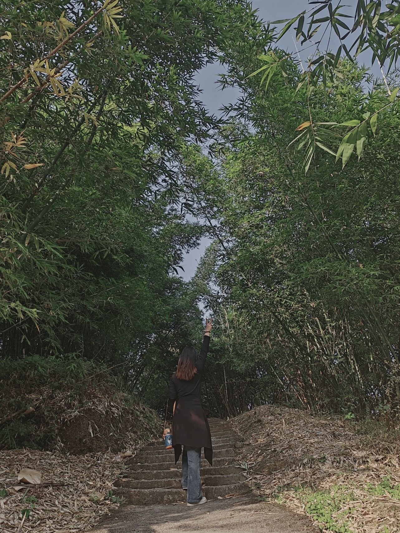 三台山·第三台·最高峰旅行图片 1