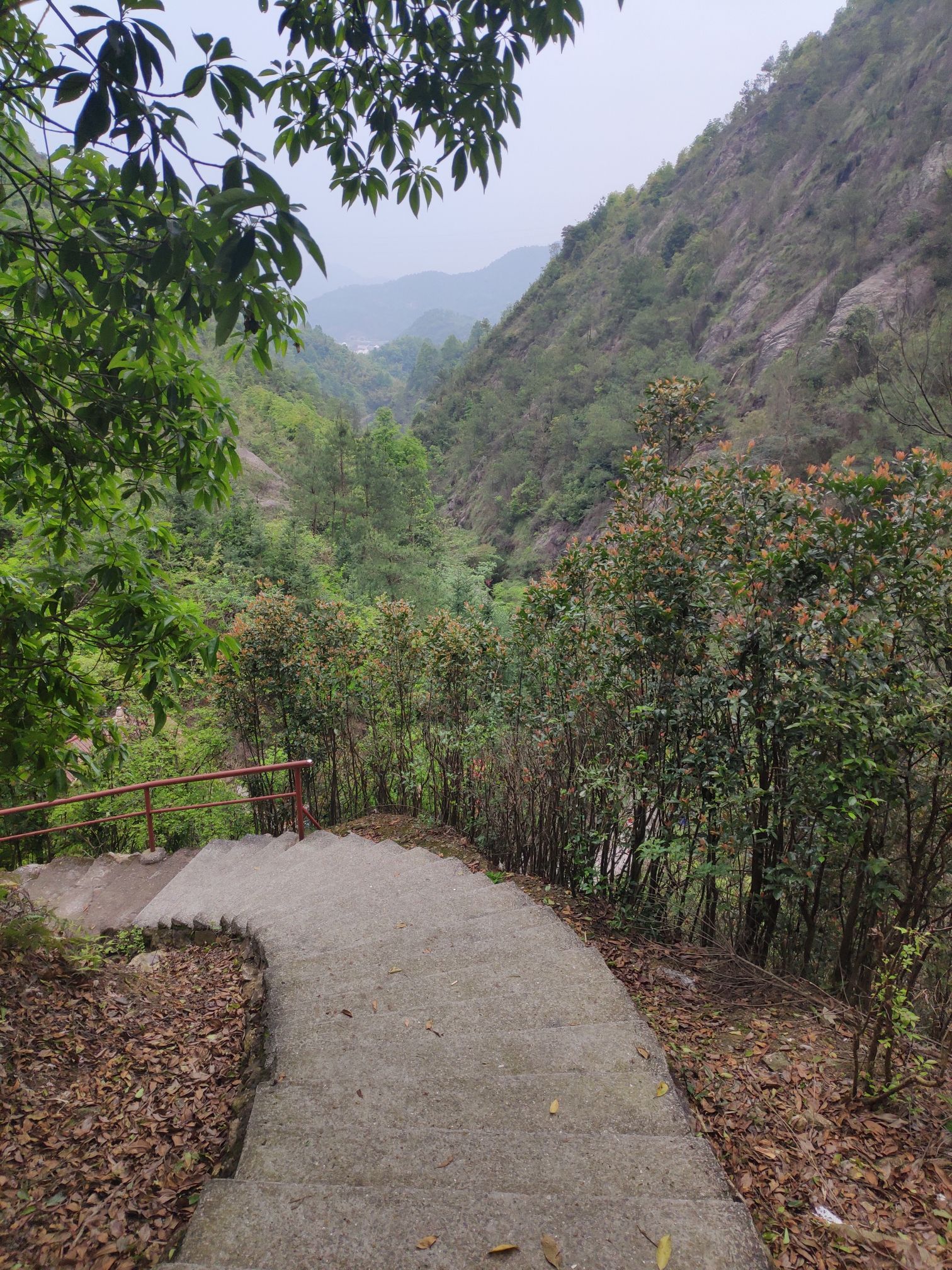 三台山·第三台·最高峰旅行图片 3