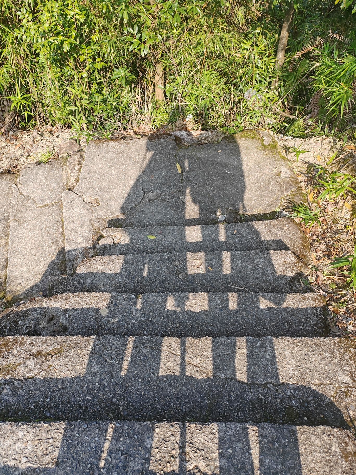 三台山·第三台·最高峰旅行图片 3