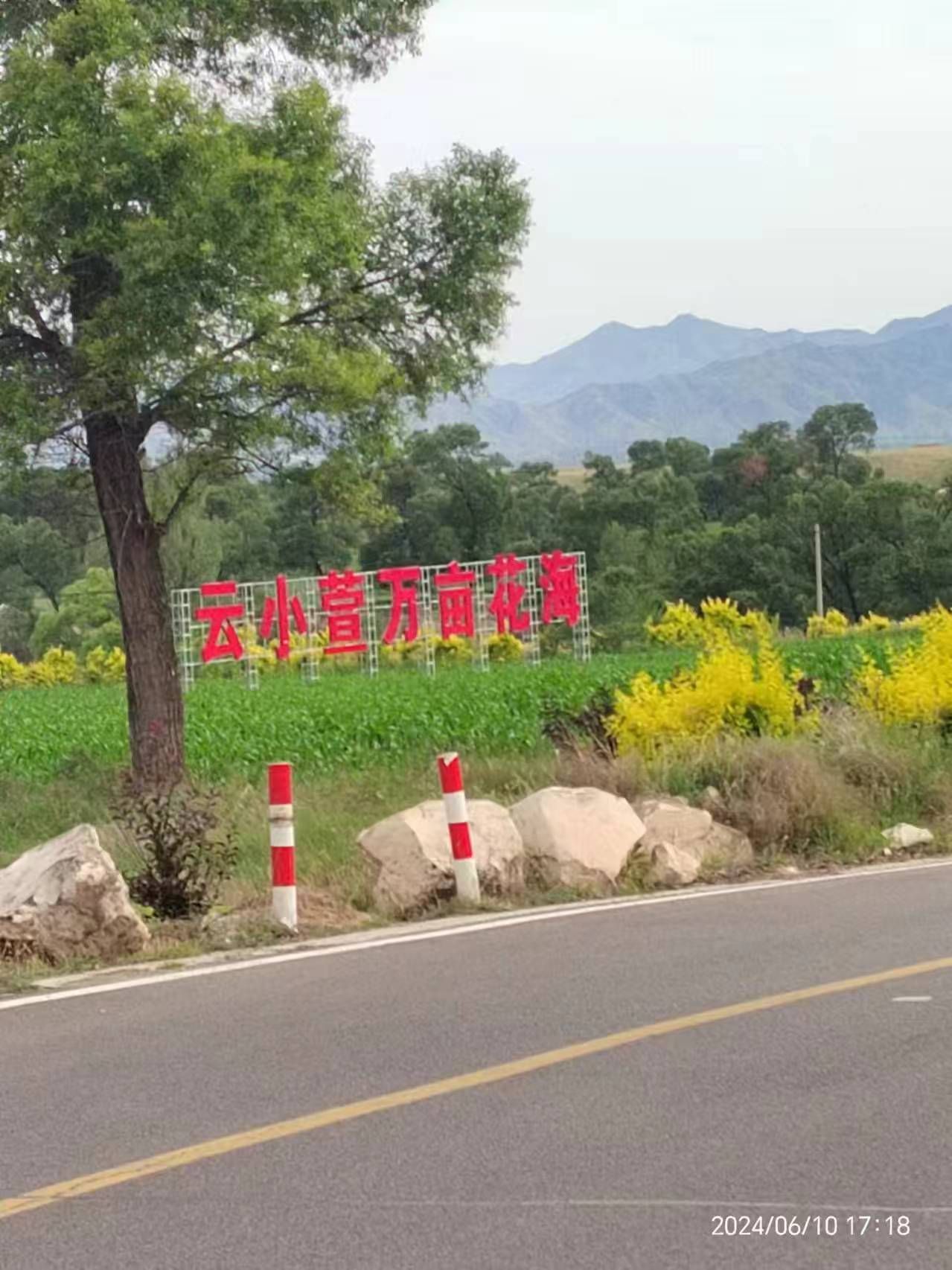 云小萱万亩花海旅行图片 2