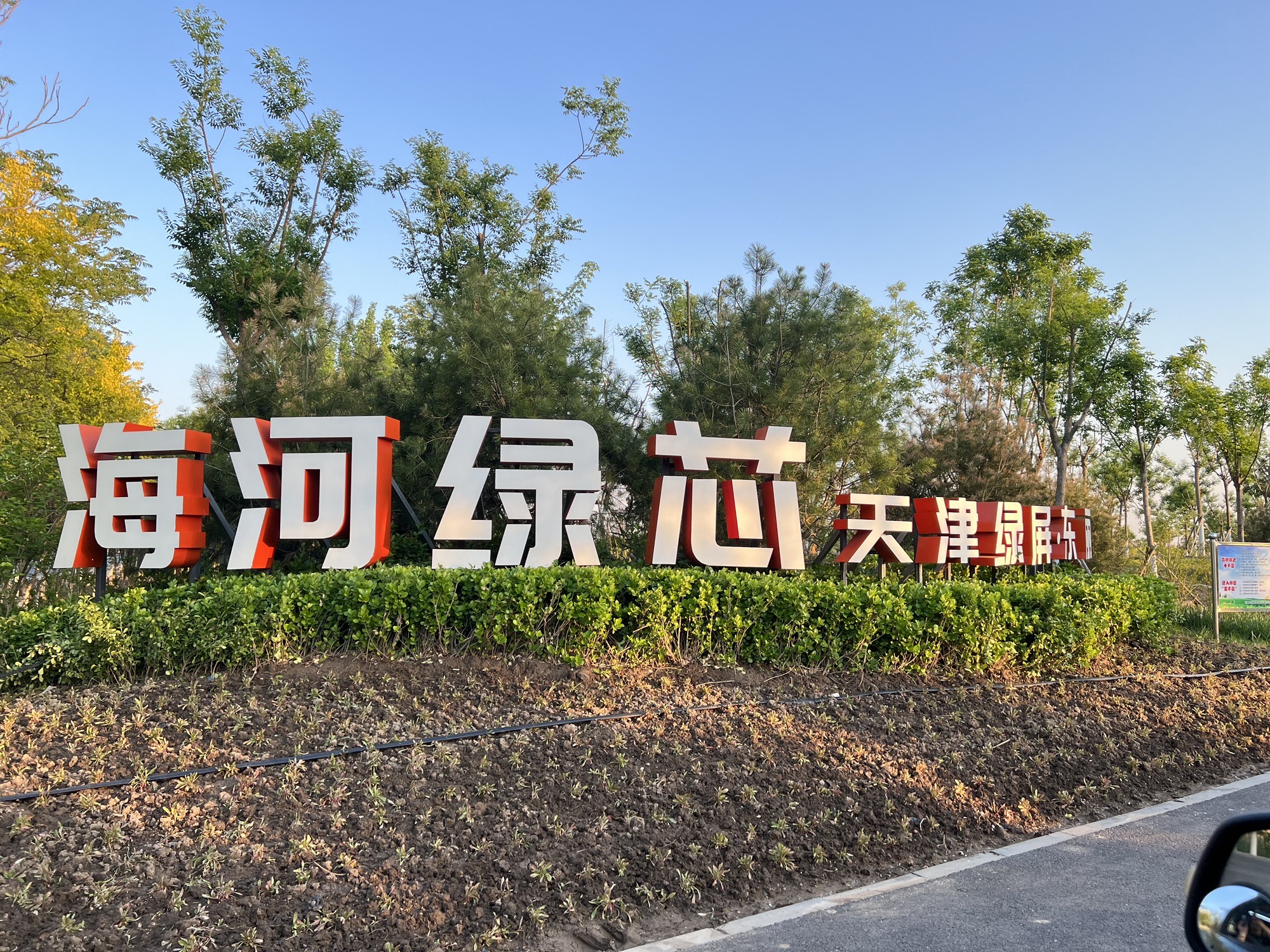 海河绿芯旅行图片 1