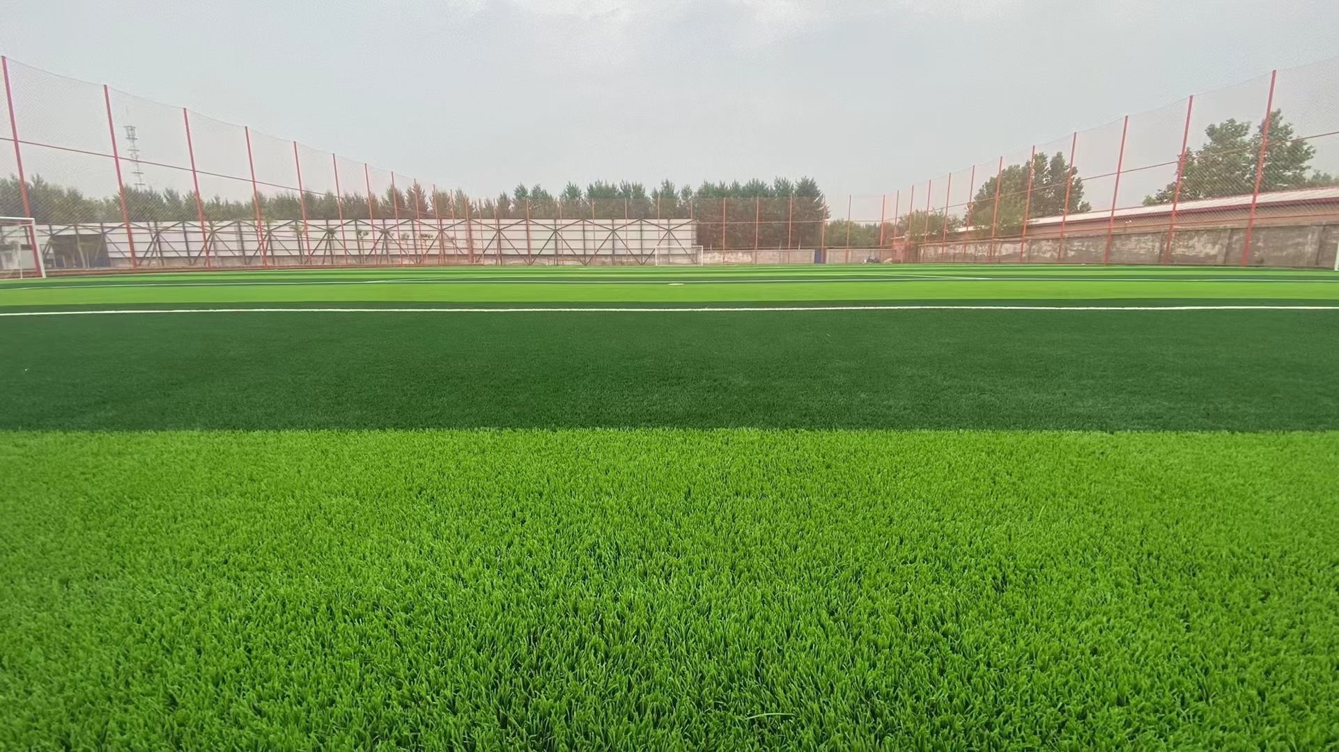 中域体育篮球羽毛球公园旅行图片 2