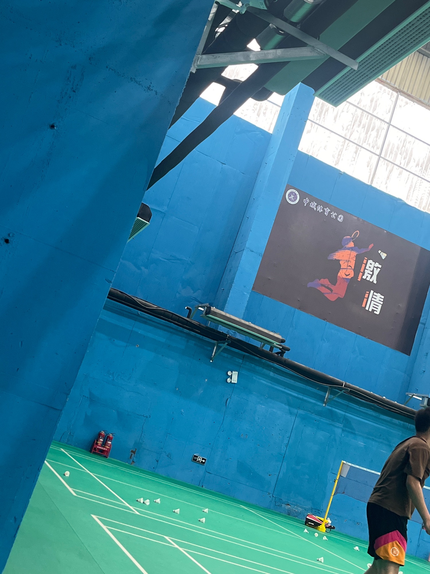 中域体育篮球羽毛球公园旅行图片 2