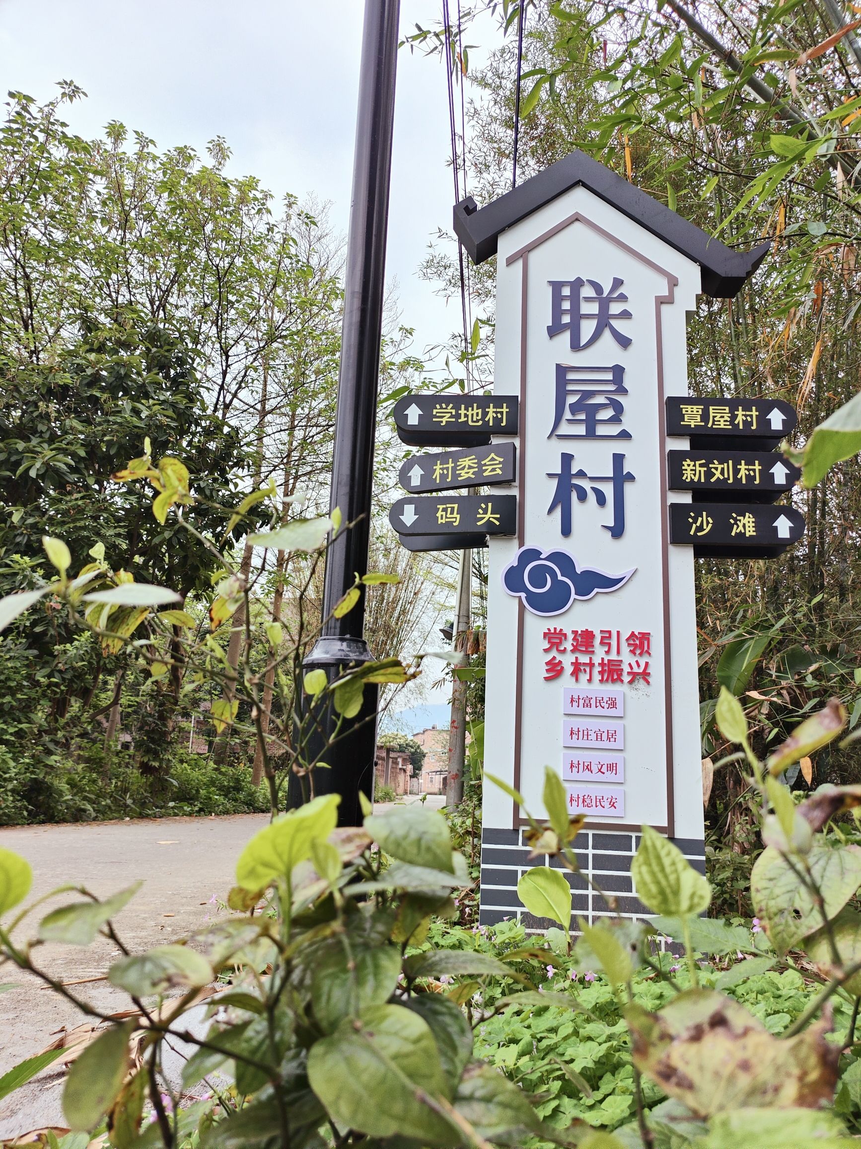 伦洲岛旅行图片 2