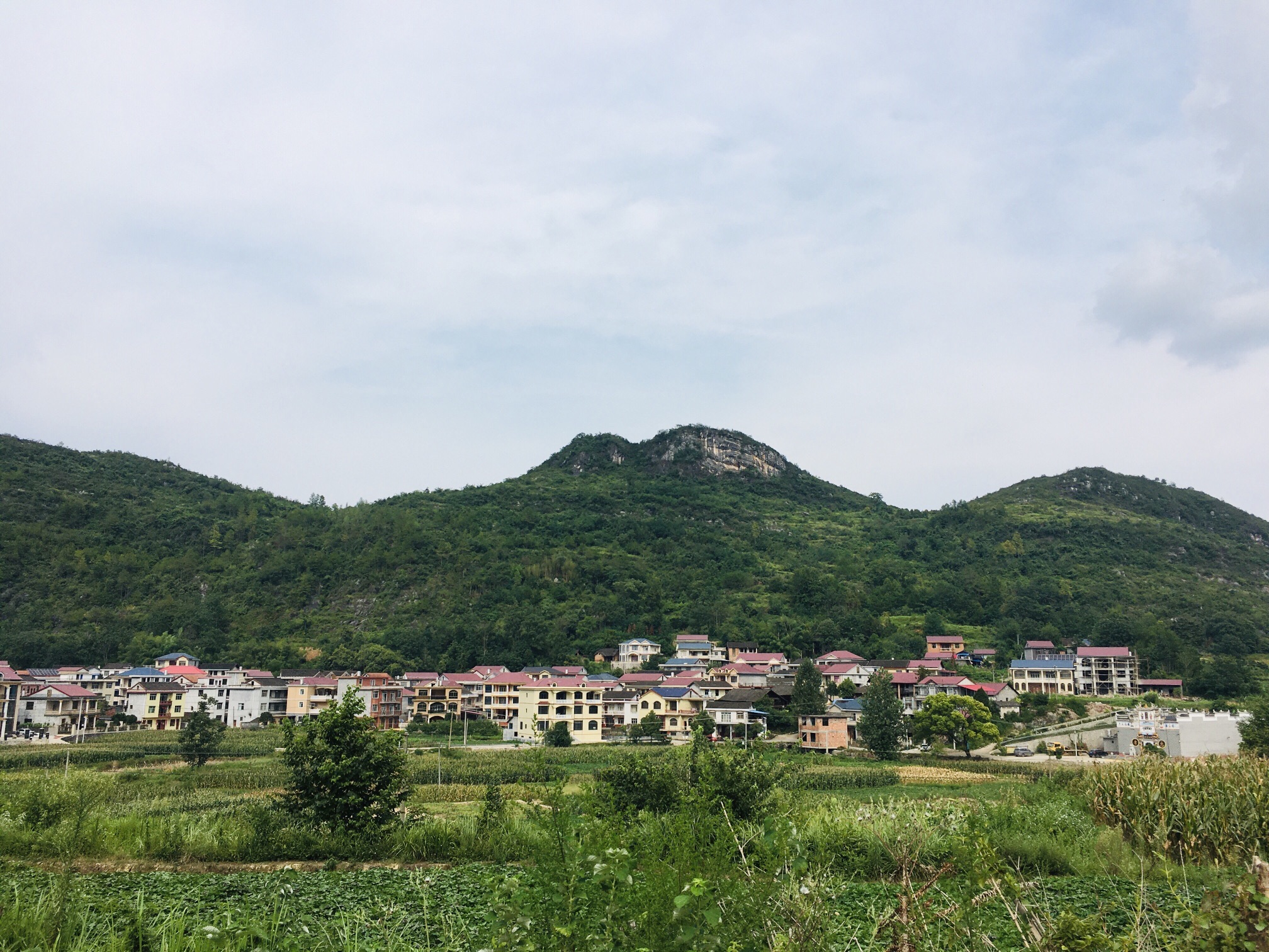 邹氏宗祠旅行图片 3